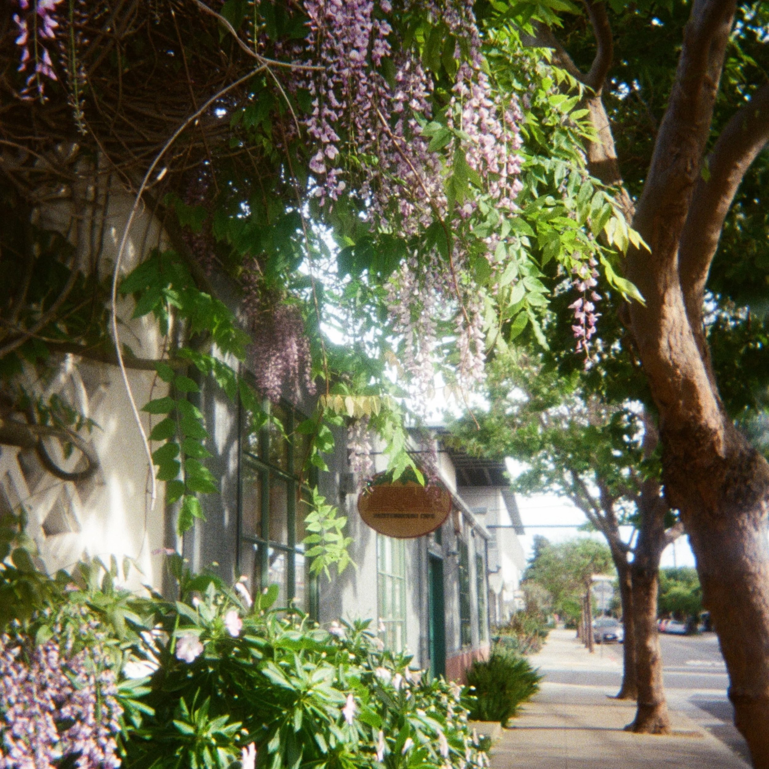 ENCAPSULATION V 
2.20.2026-4.7.2026

1. A fleeting moment of UQBAR in full bloom, captured thanks to @photolab.berkeley
2. The team celebrating five months of UQBAR. We're not brand new anymore--still learning and improving, but now with some experie