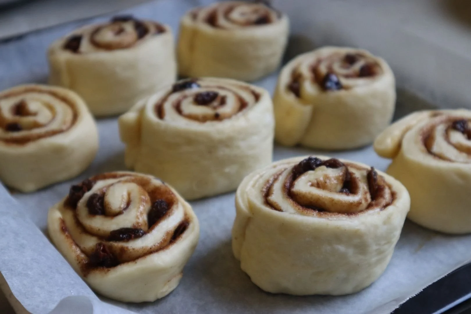 WhatsApp Image 2025-07-10 at 12.45.18.jpeg