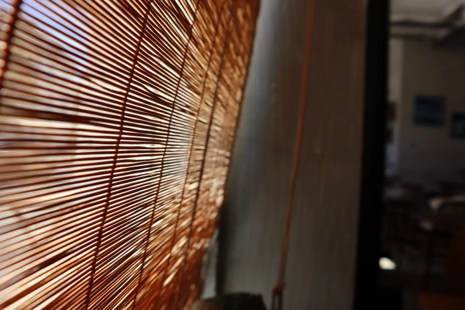 WhatsApp Image 2025-07-10 at 12.36.42.jpeg