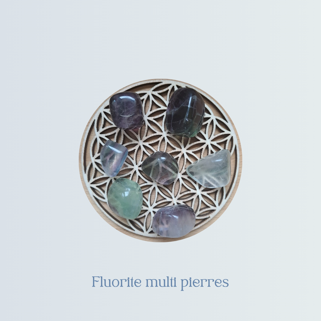 Fluorite multi pierres.png