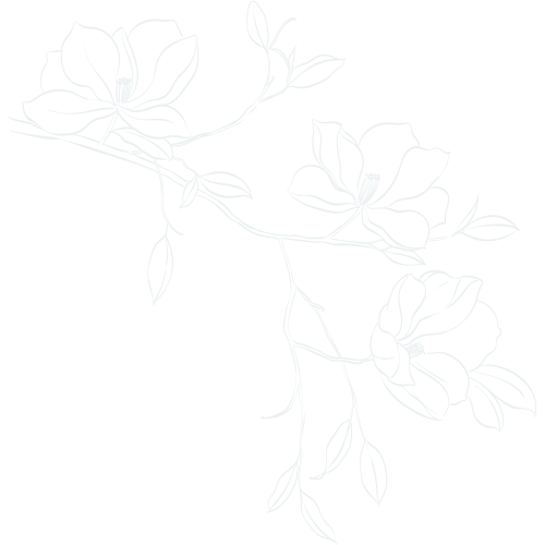 Fleurs de style dessin en blanc sur fond noir.