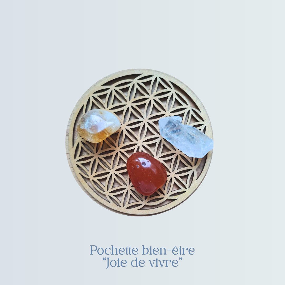 Pochette bien-être Joie de vivre (1).png