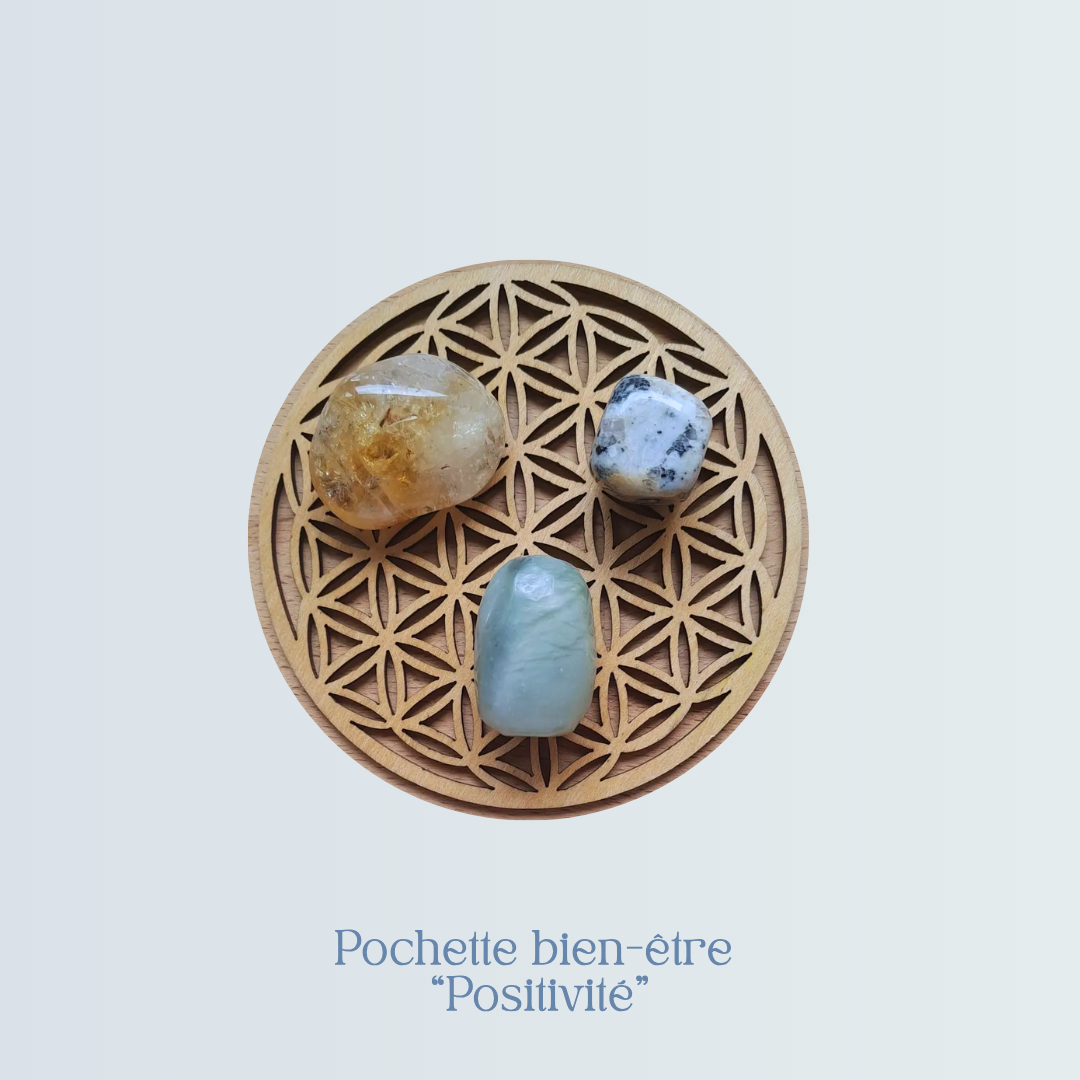 Pochette bien-être Positivité (1).png