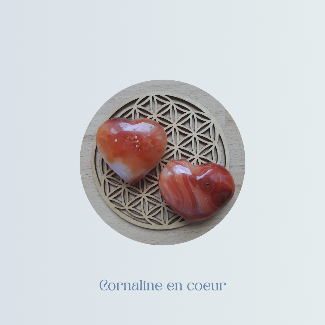 Cornaline en cœur.png