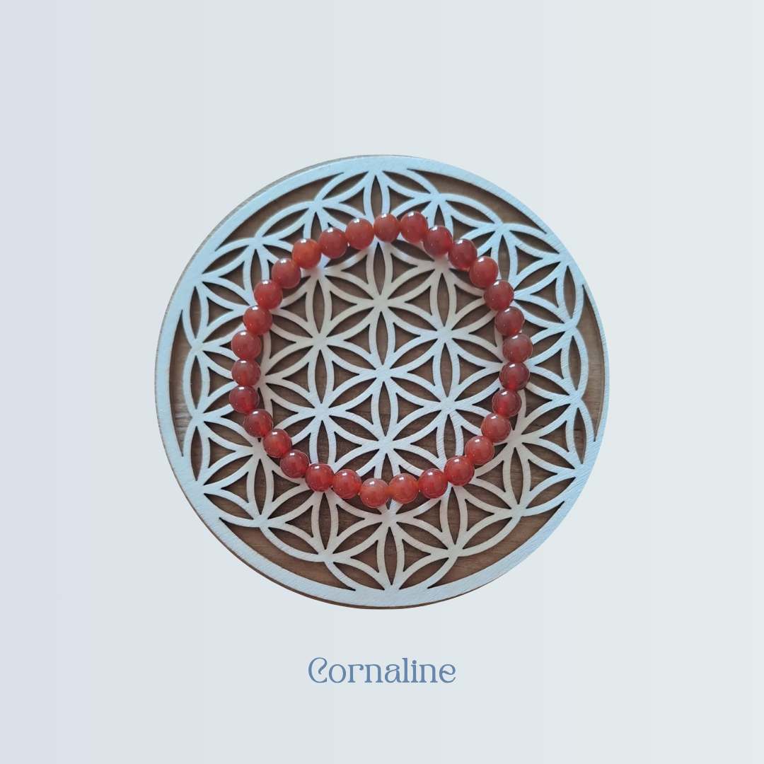 Bracelet Cornaline.png