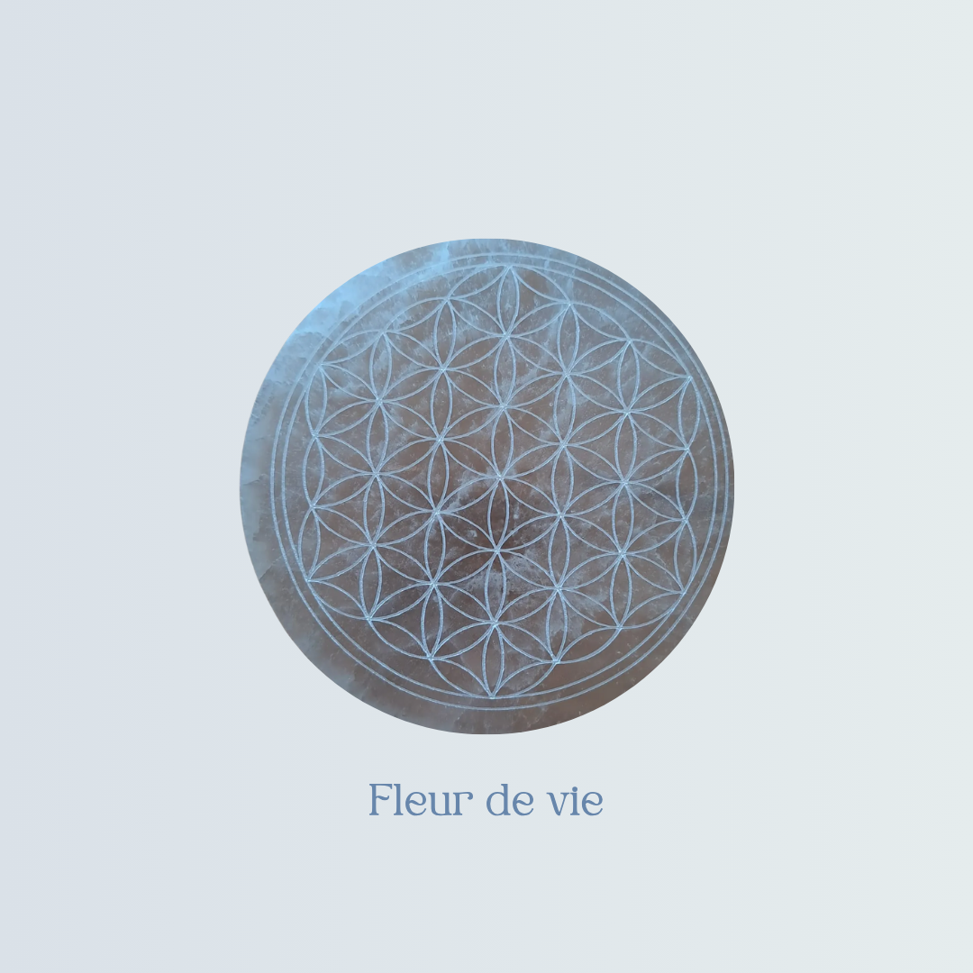Plaque de rechargement en Sélénite _Fleur de vie.png