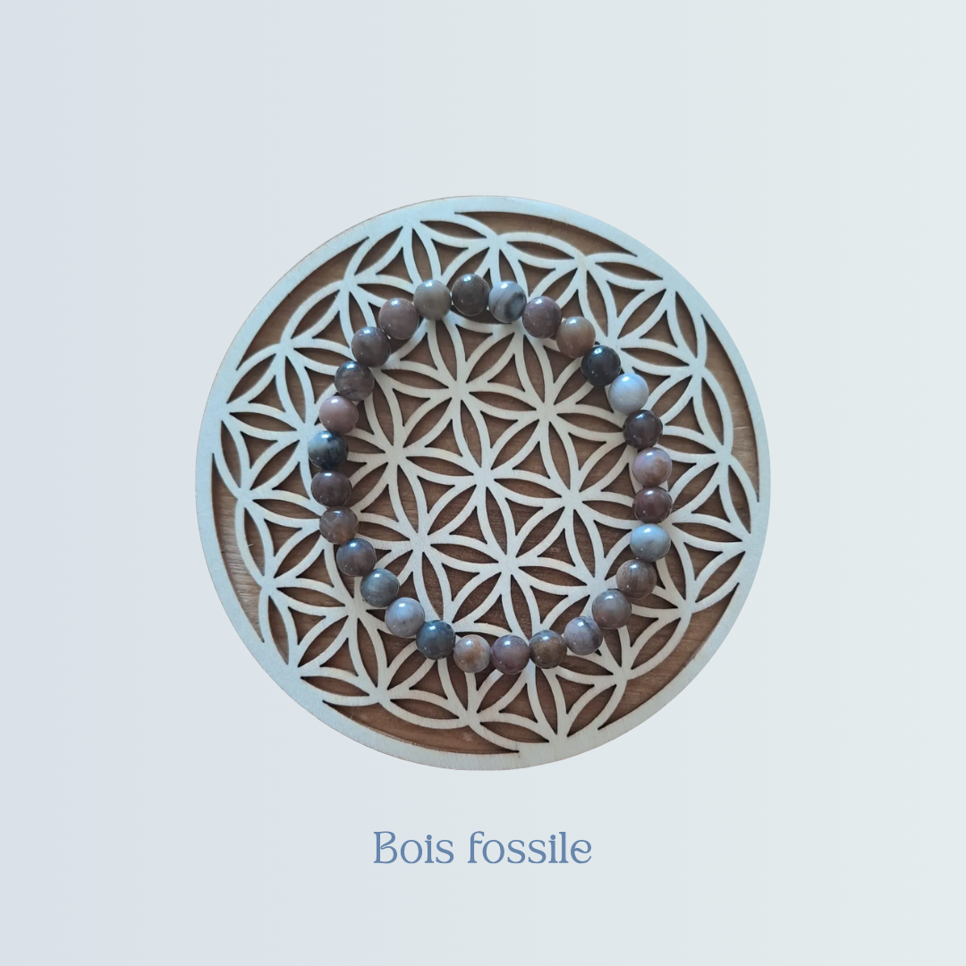 Bracelet Bois fossile.png
