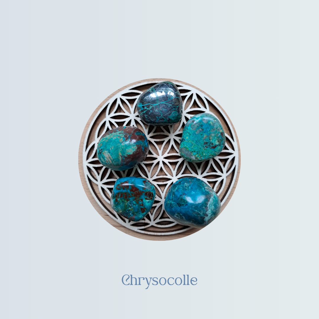 Chrysocolle.png
