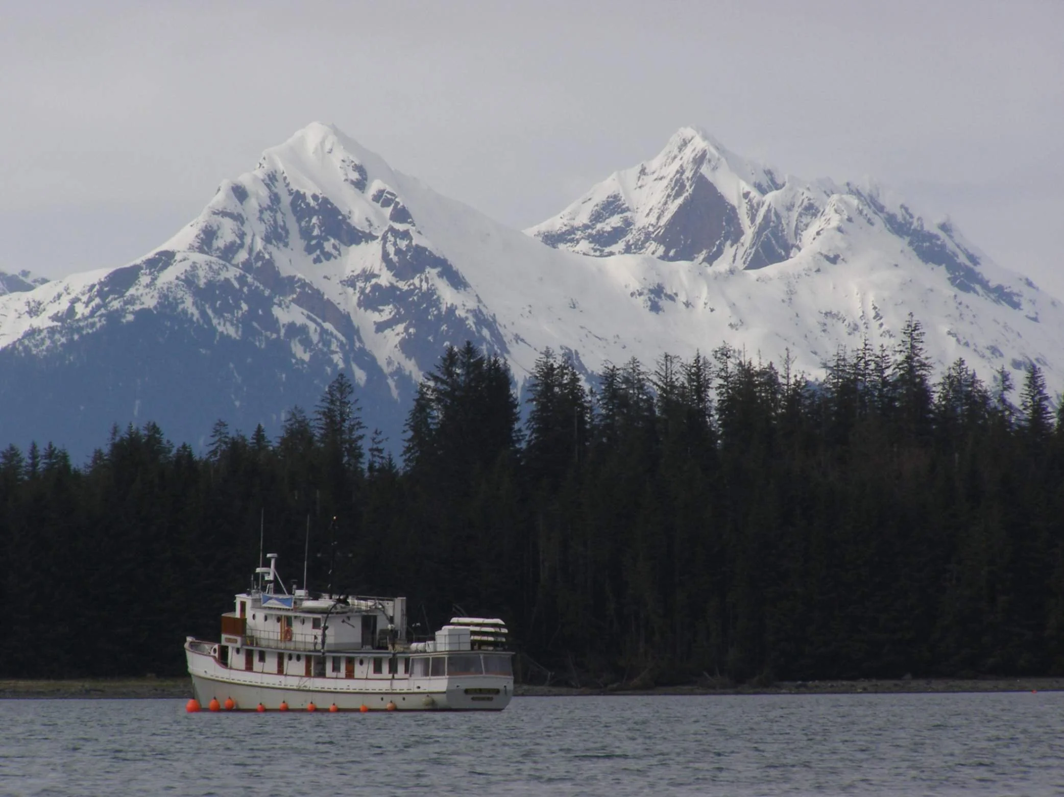 jpeg-optimizer_017_Emily_Mount.jpg