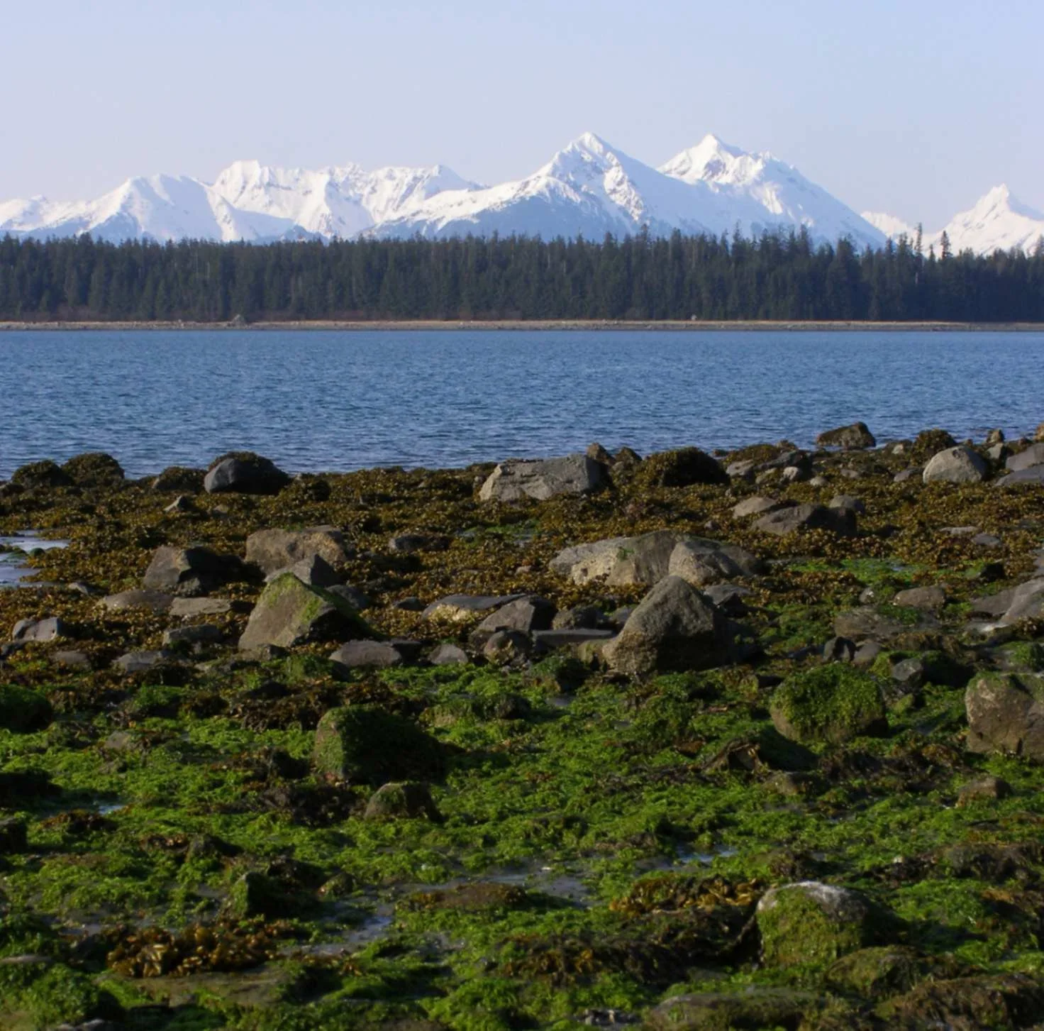 jpeg-optimizer_033_Emily_Mount.jpg