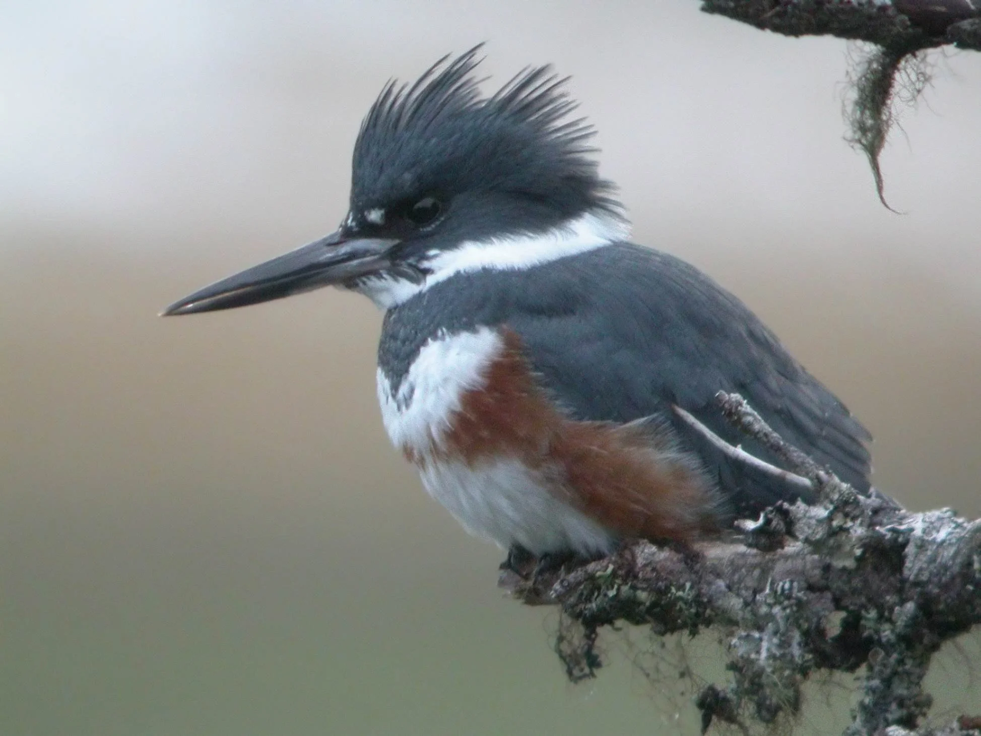 jpeg-optimizer_059_Nat_Drumheller.jpg