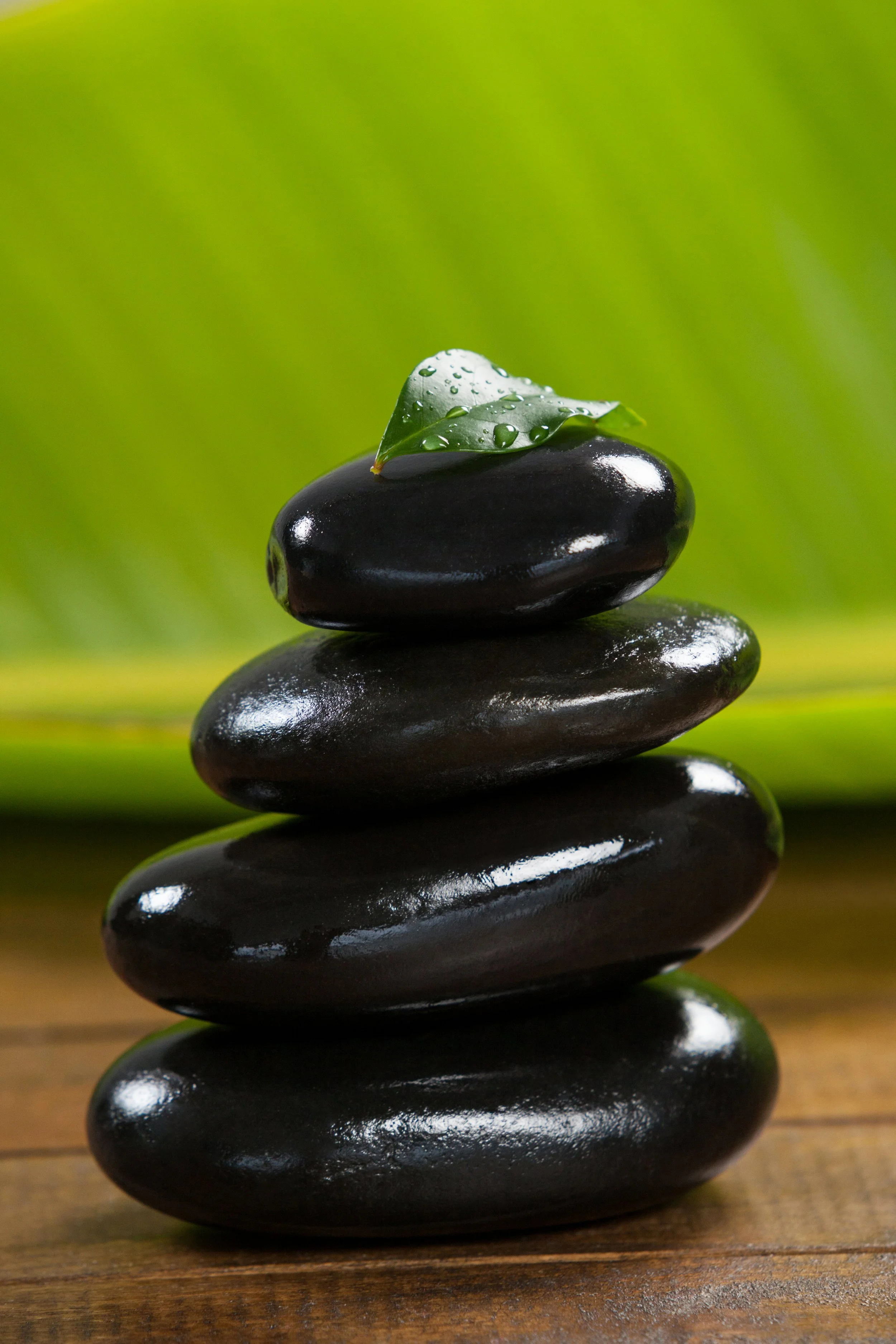 stack-pebble-stones-with-green-leaf.jpg