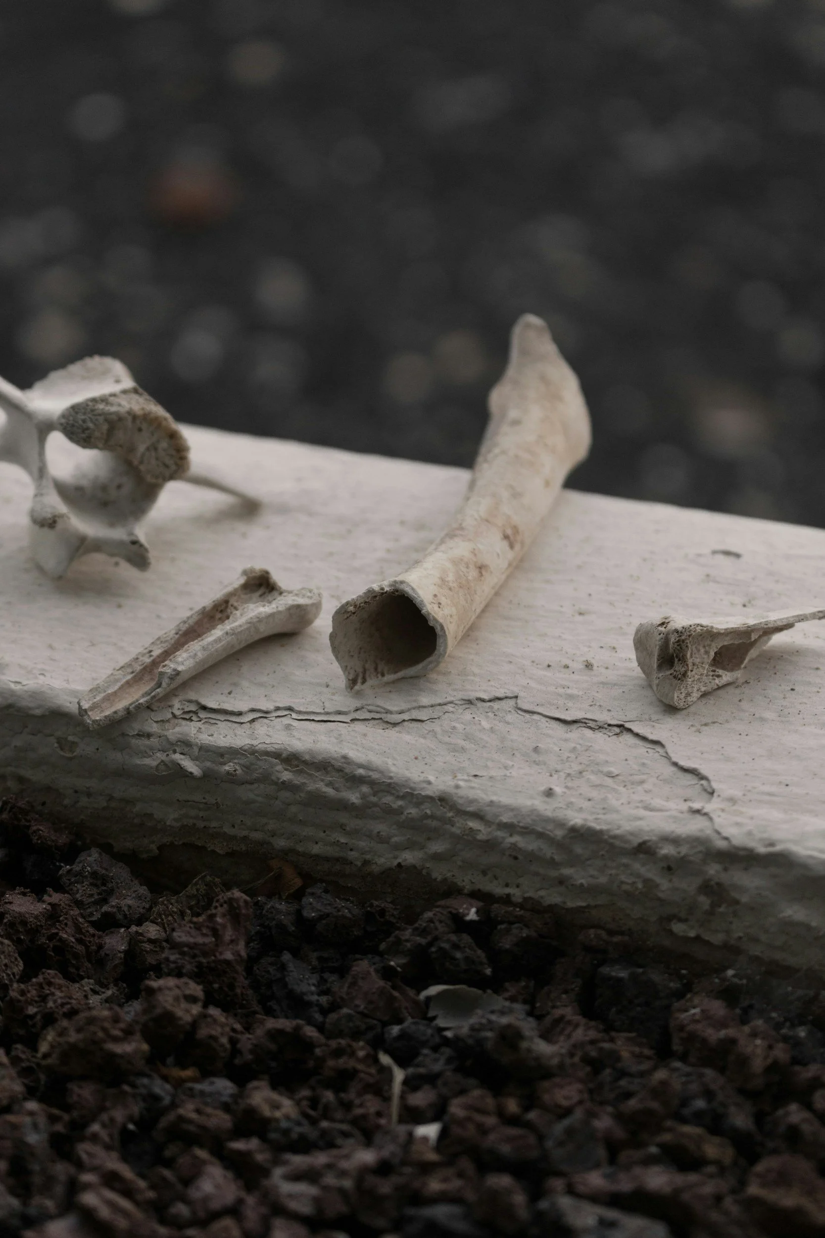 Can These Bones Live? A Call for a Global Awakening
