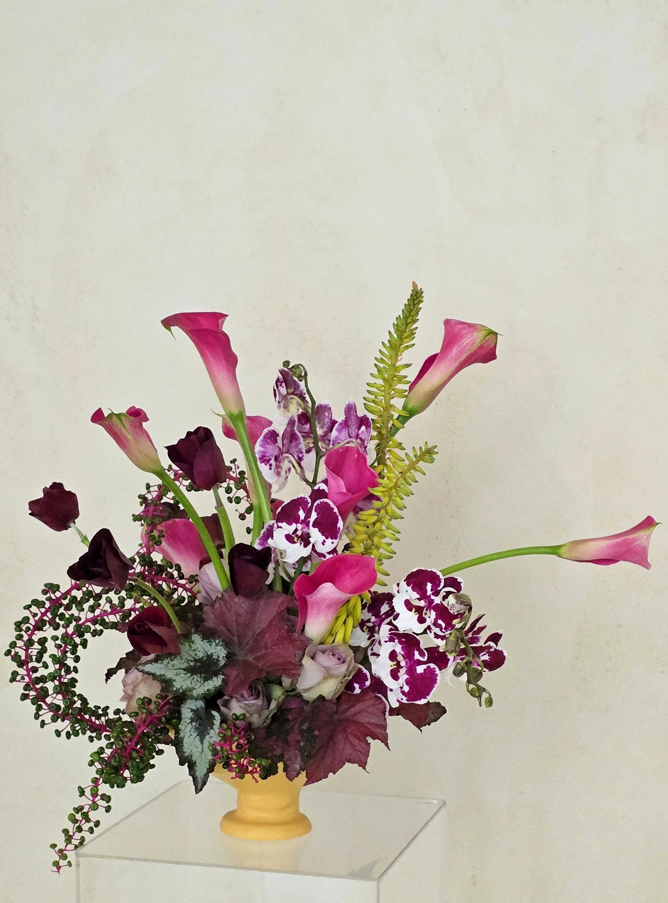 20260217_120842 (1) (1).jpg