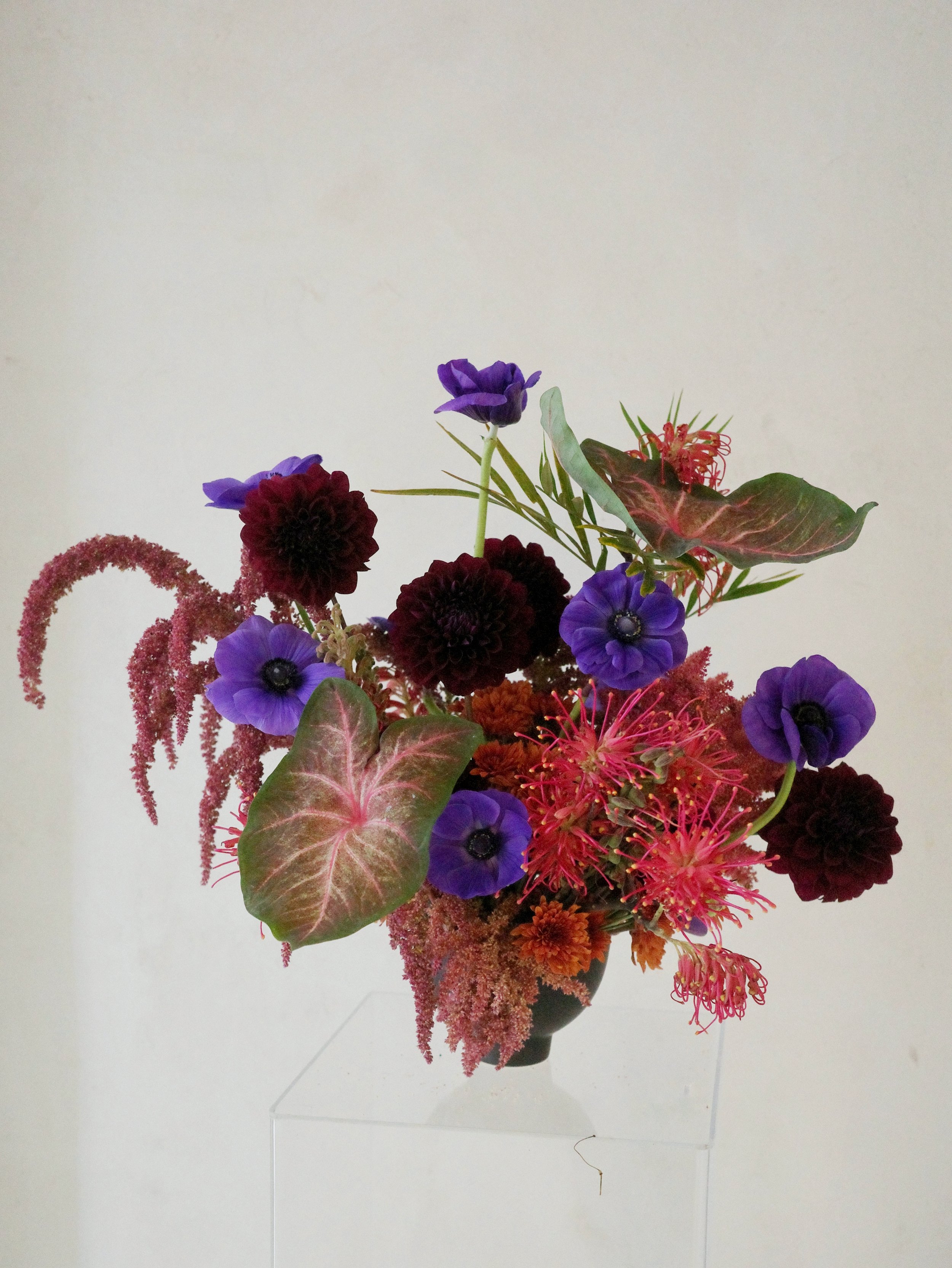 R0024070 (1) (1).JPG