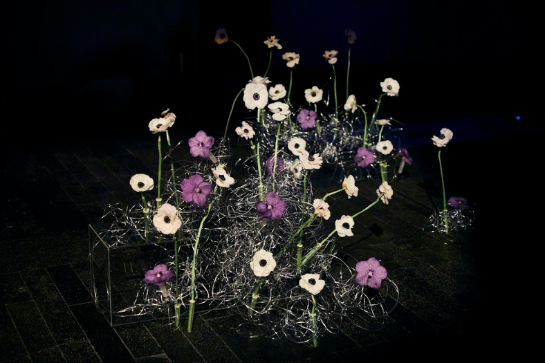 Captura de pantalla 2026-03-05 a las 2.16.09 p.m..png