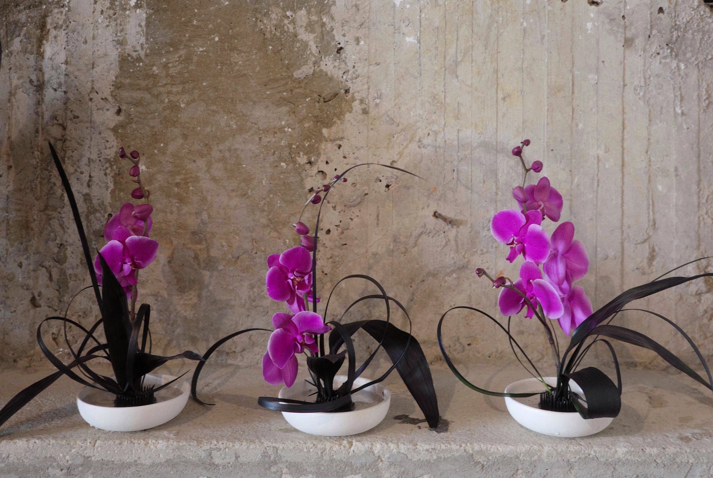 R0025208 (2) (1).JPG