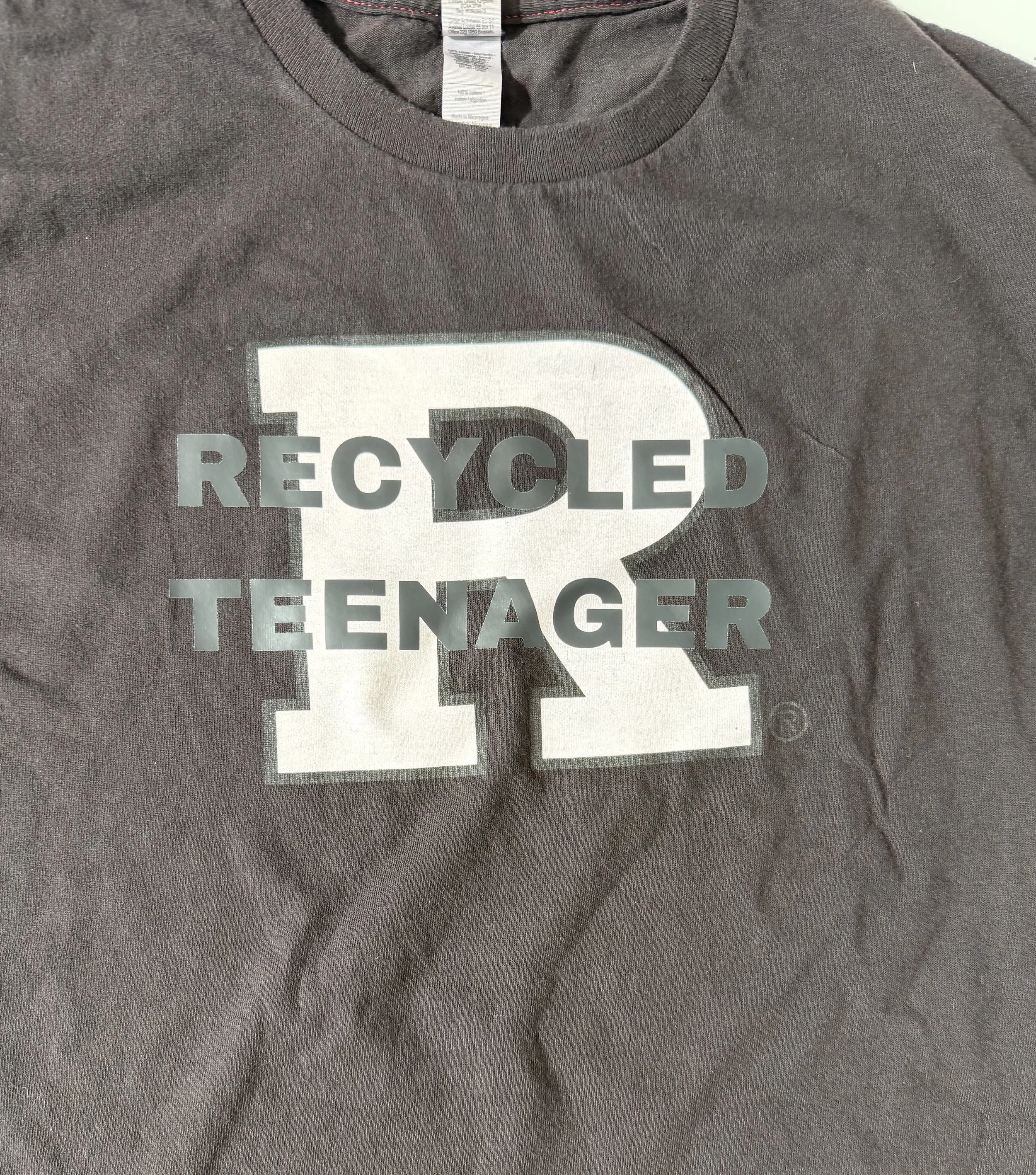 recycled teenager R.jpg