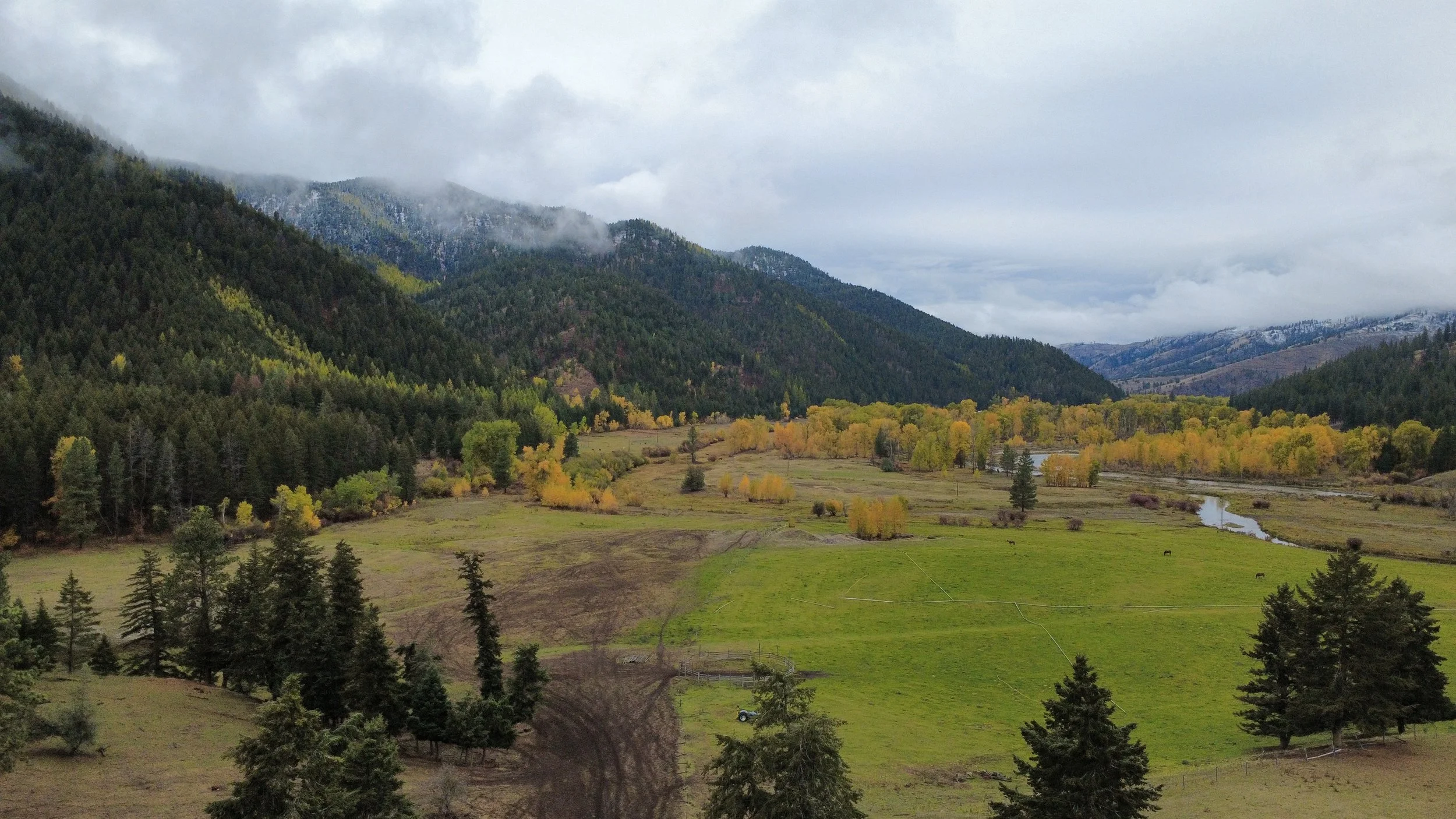 dji_fly_20251014_155026_11_1760478808343_photo_optimized.jpeg