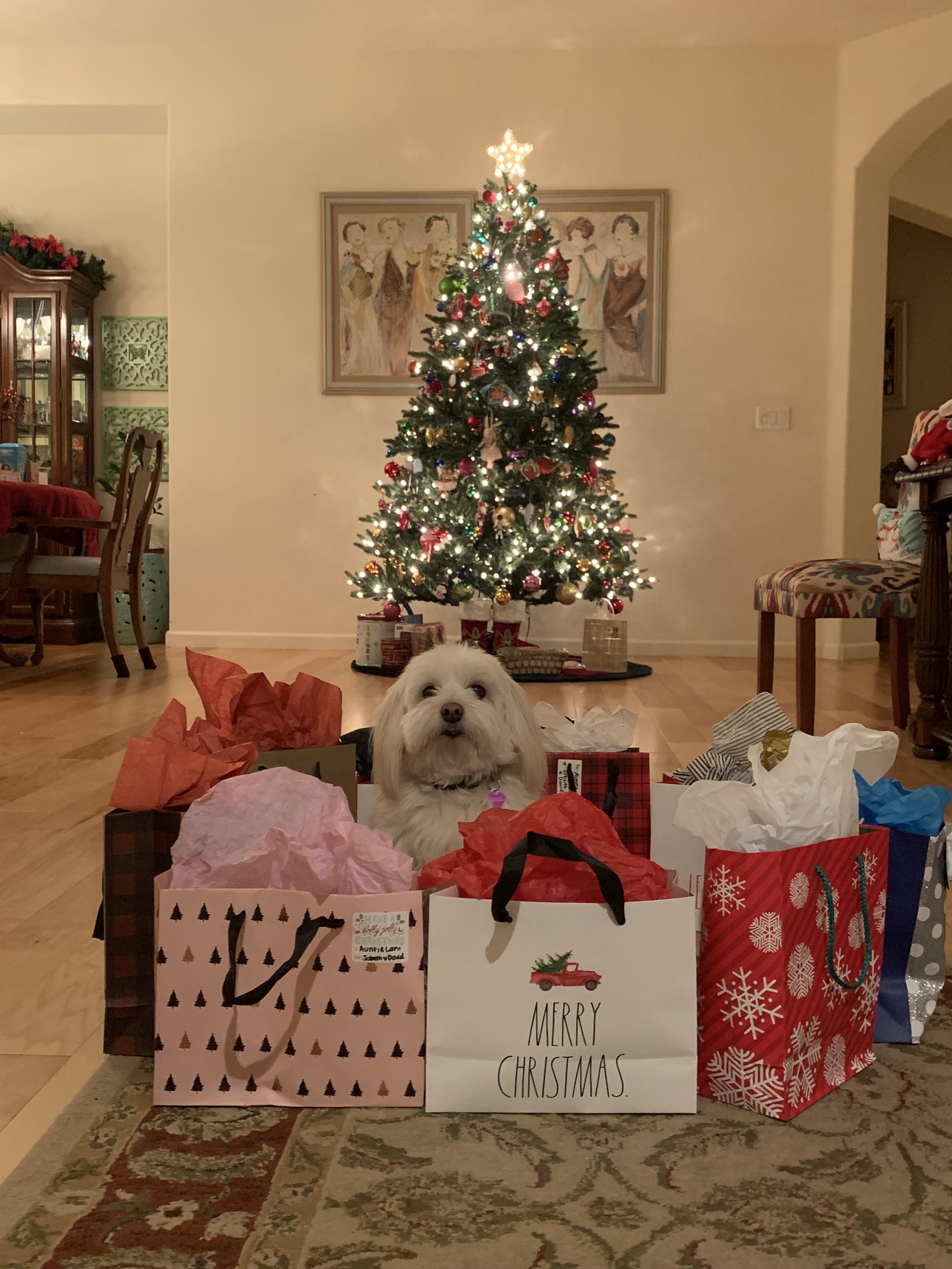 The Christmas of Ten Dogs