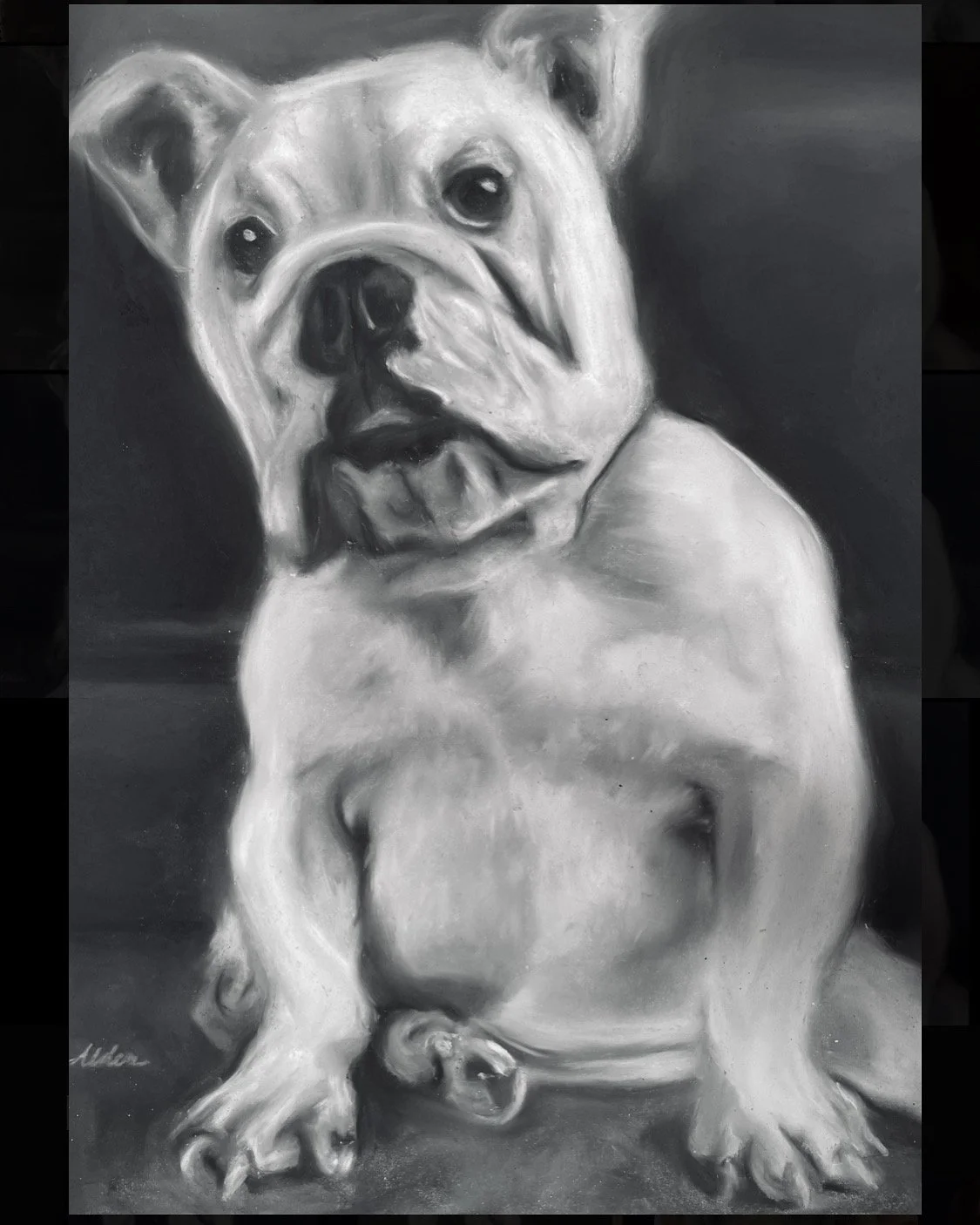 17AAA619-C25F-4B6A-BC38-28F14C651813 (1).JPG