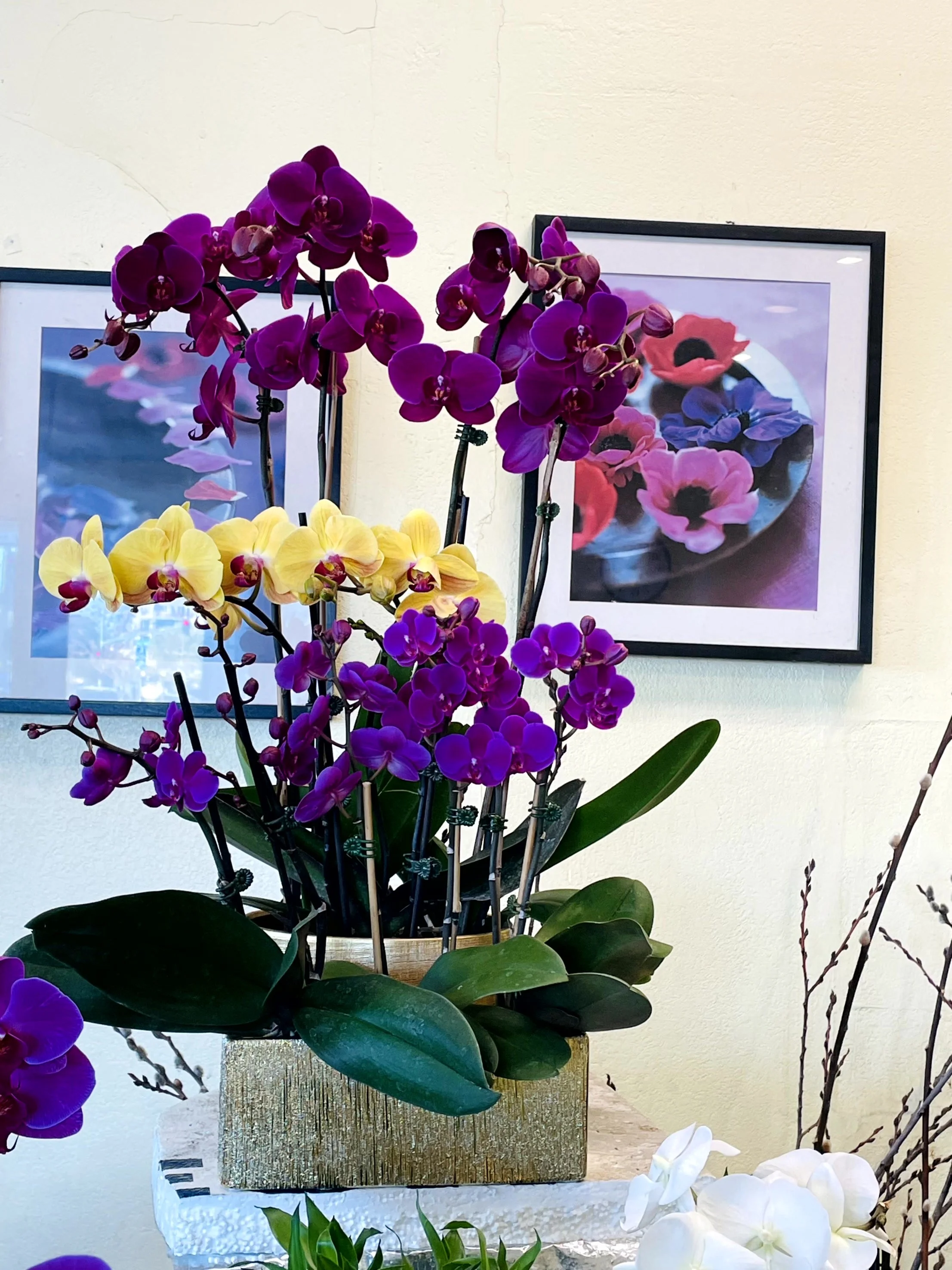 70545643912__4E7BA107-1882-4FEF-8F21-A43A721EB987.fullsizerender - Copy.jpg