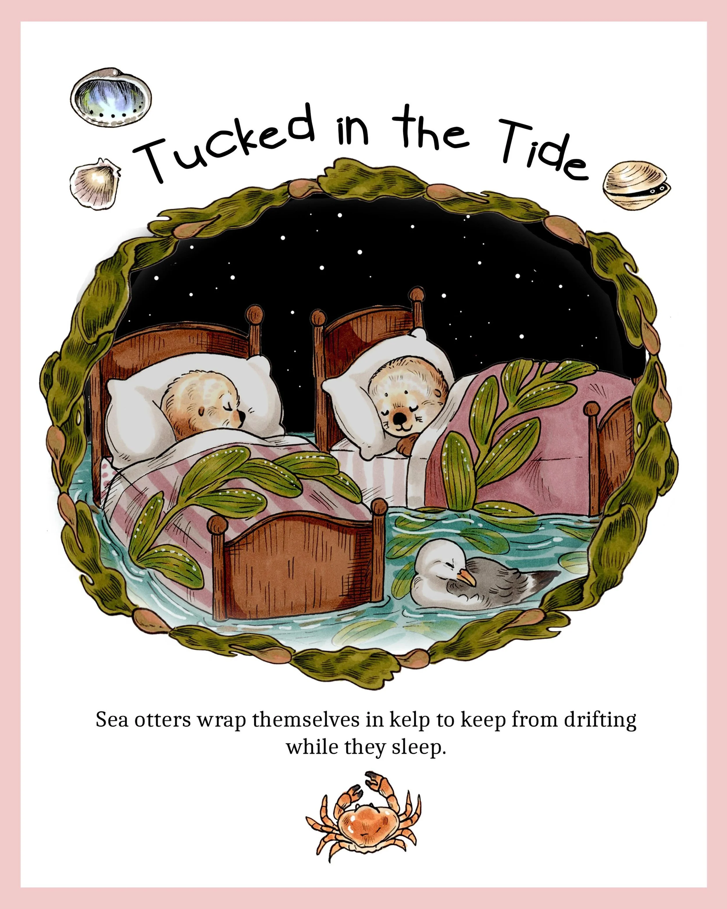 So lucky to live in a place where I can take a short walk and visit the sea otters taking naps in their kelp beds! 
-
#kidlitart #illustration #cuteart #seaotters