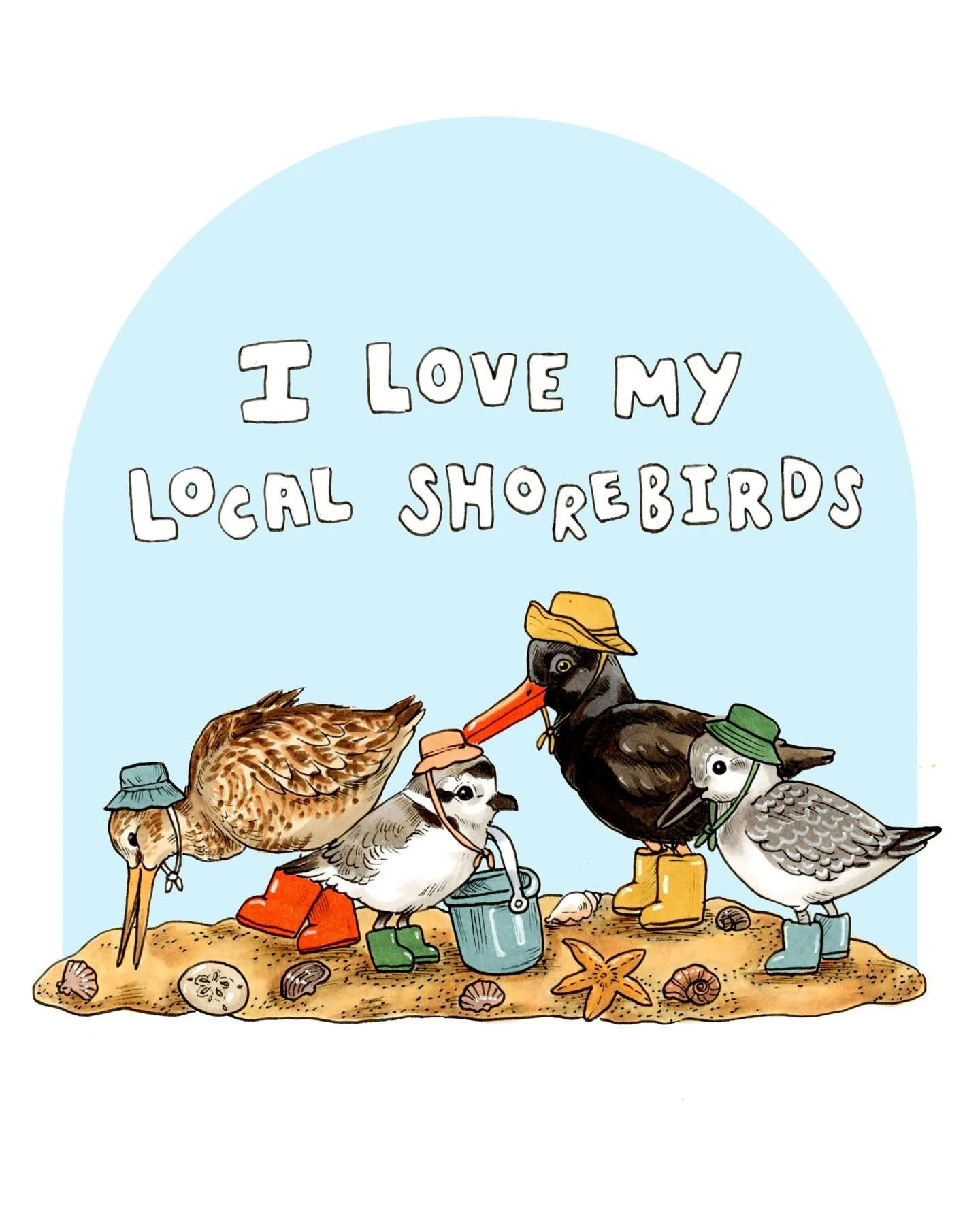 I am working on some local animal art to celebrate my coastal hometown!
-
Shorebirds:
Marbled Godwit, Snowy Plover, Black Oystercatcher, and a Western Sandpiper!
Excuse any size inaccuracies- I just wanted everyone to be big enough and cute enough ev