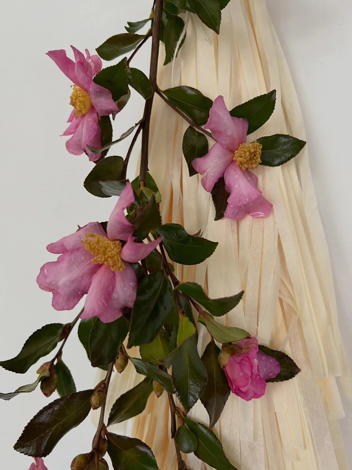 Can&rsquo;t decide which one I like more! 🤍🩷 How fun is it to pair the pink camellia with The Good Tassel?