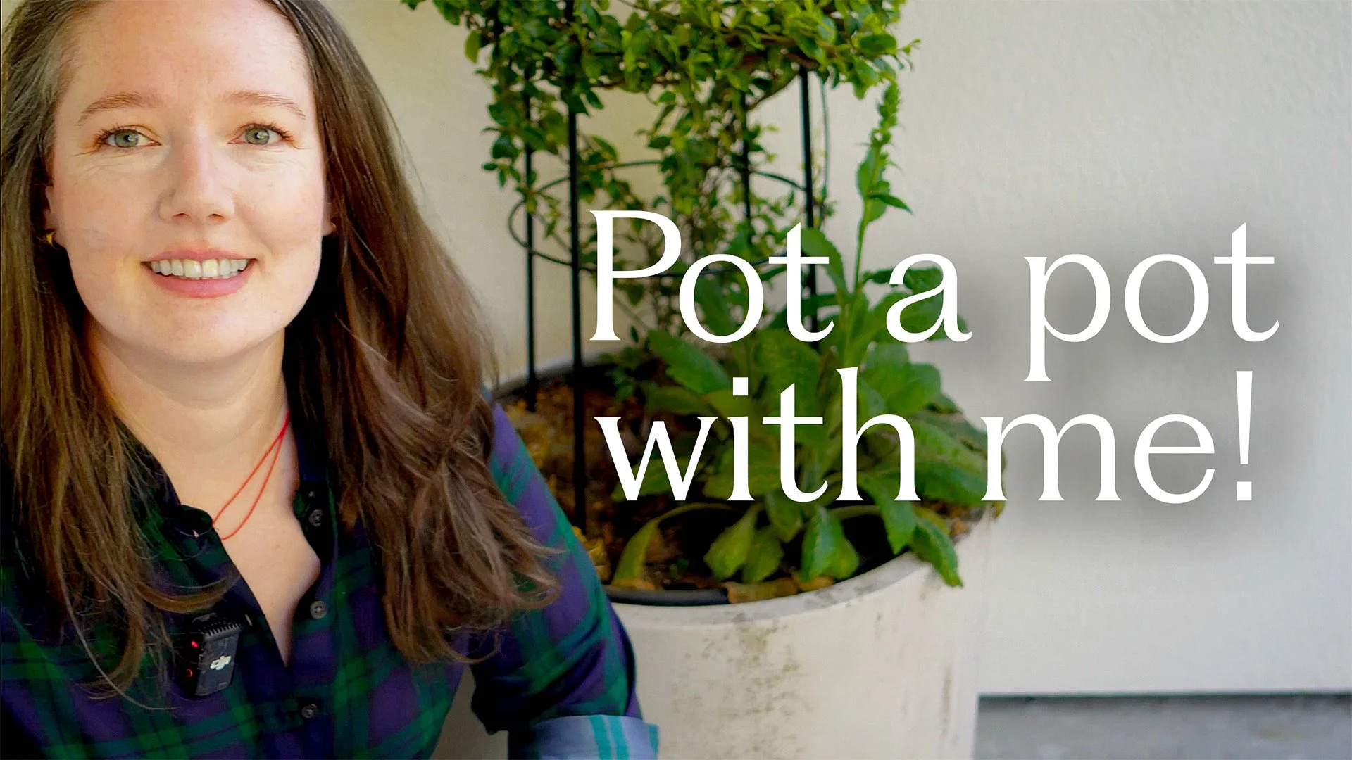 Video: Pot with Me!