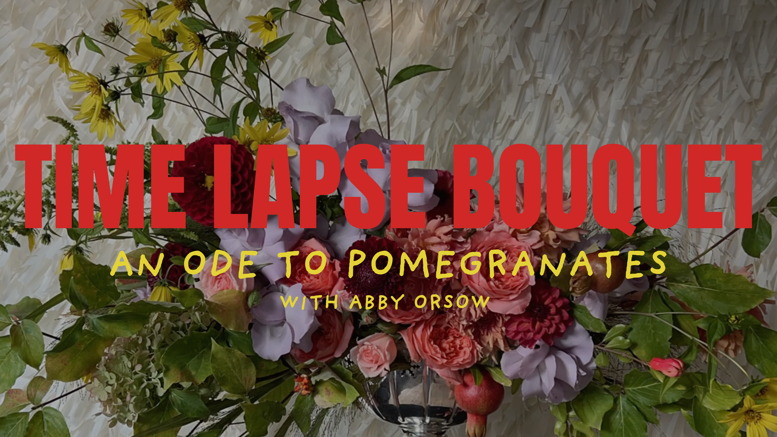 Video: An Ode To Pomegranates