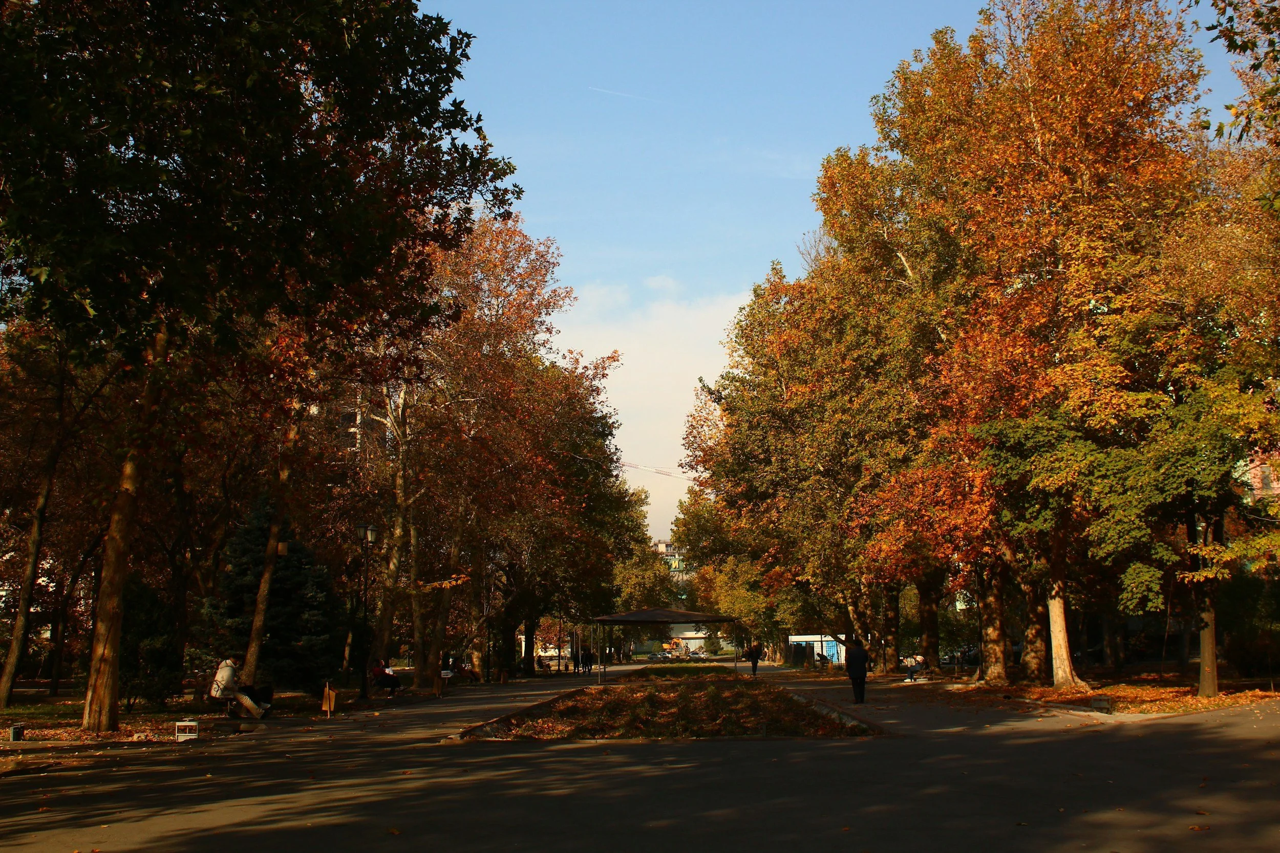 Swarthmore Black Alumni Network (SBAN) 2024 Equity Action Challenge