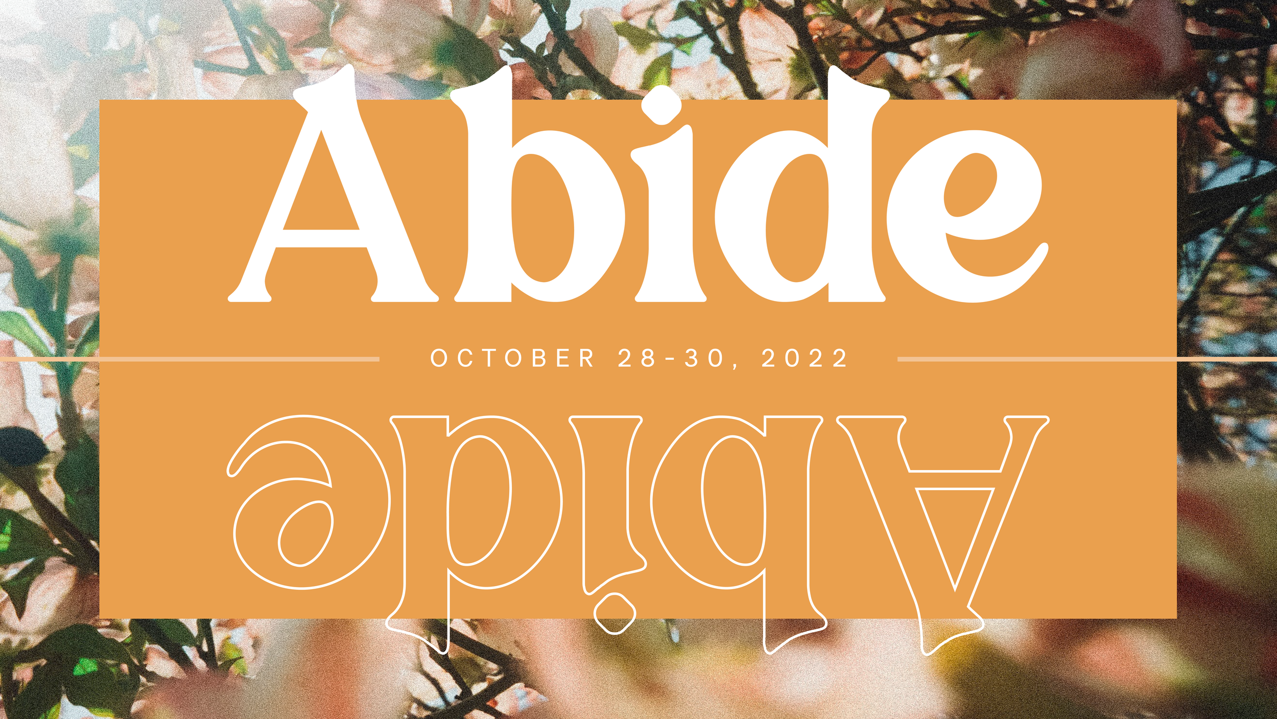 TAS_College_Abide_2022_Concept01-03.png