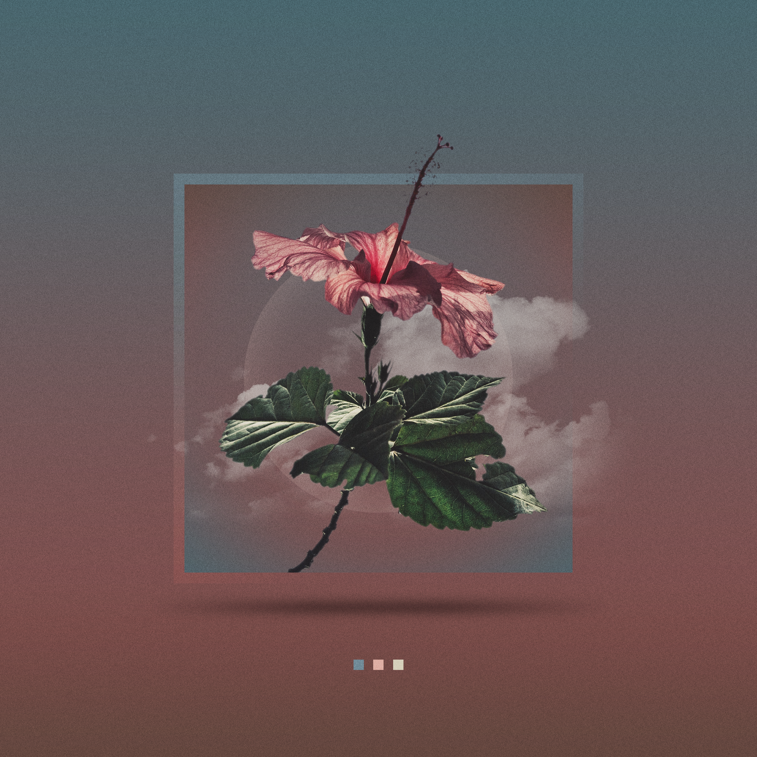 Planted_Dec11_2021.png