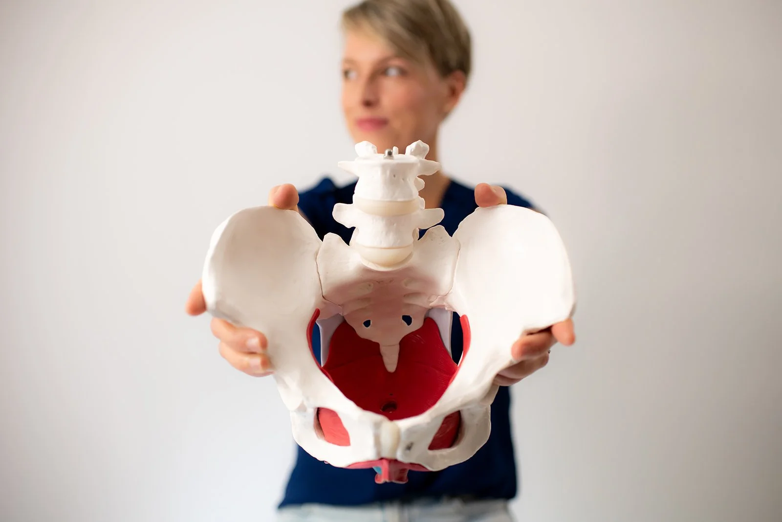 Person holding a human pelvic skeleton model with pelvis, lumbar vertebrae, and red interior structures.