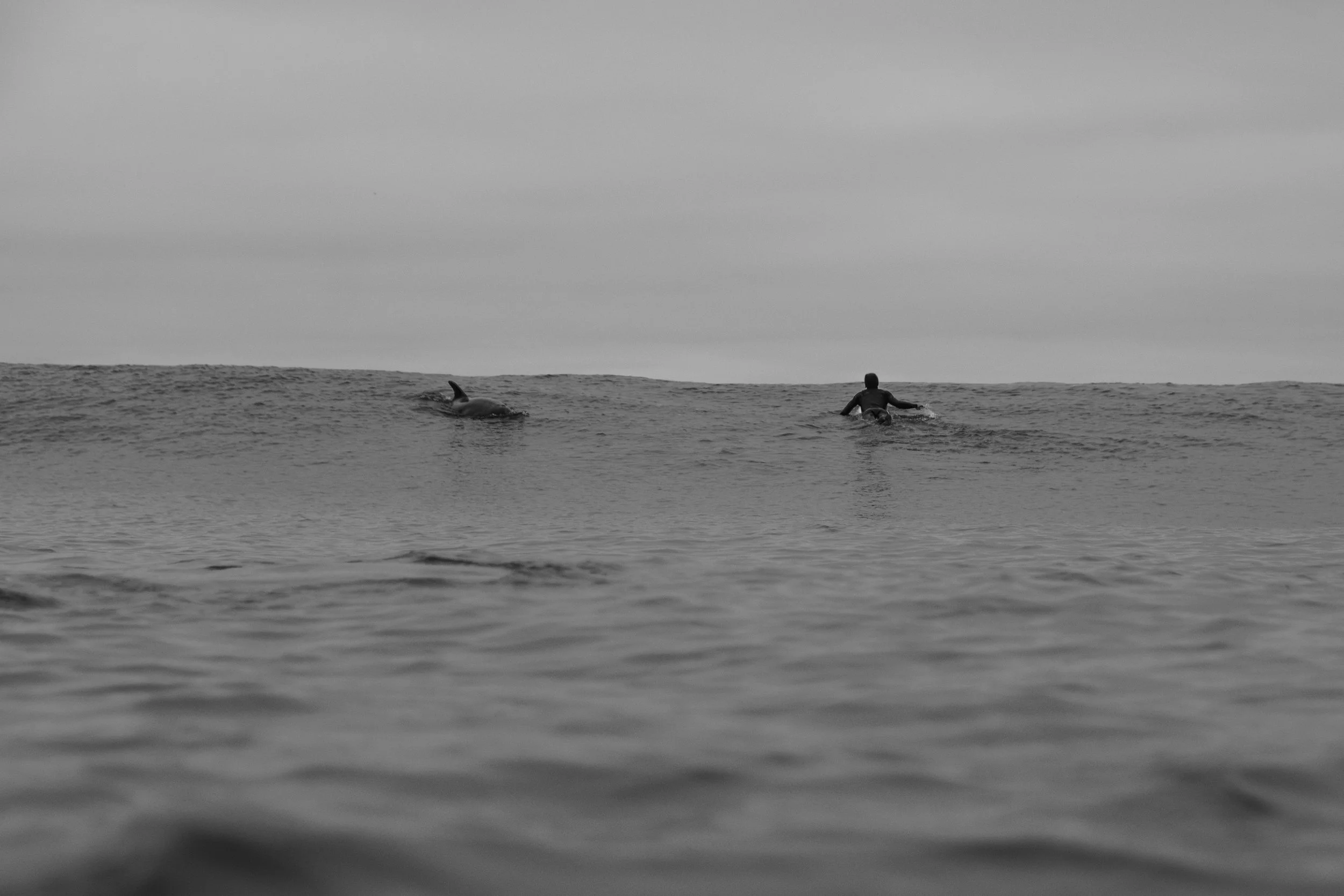  This is what it’s about. 