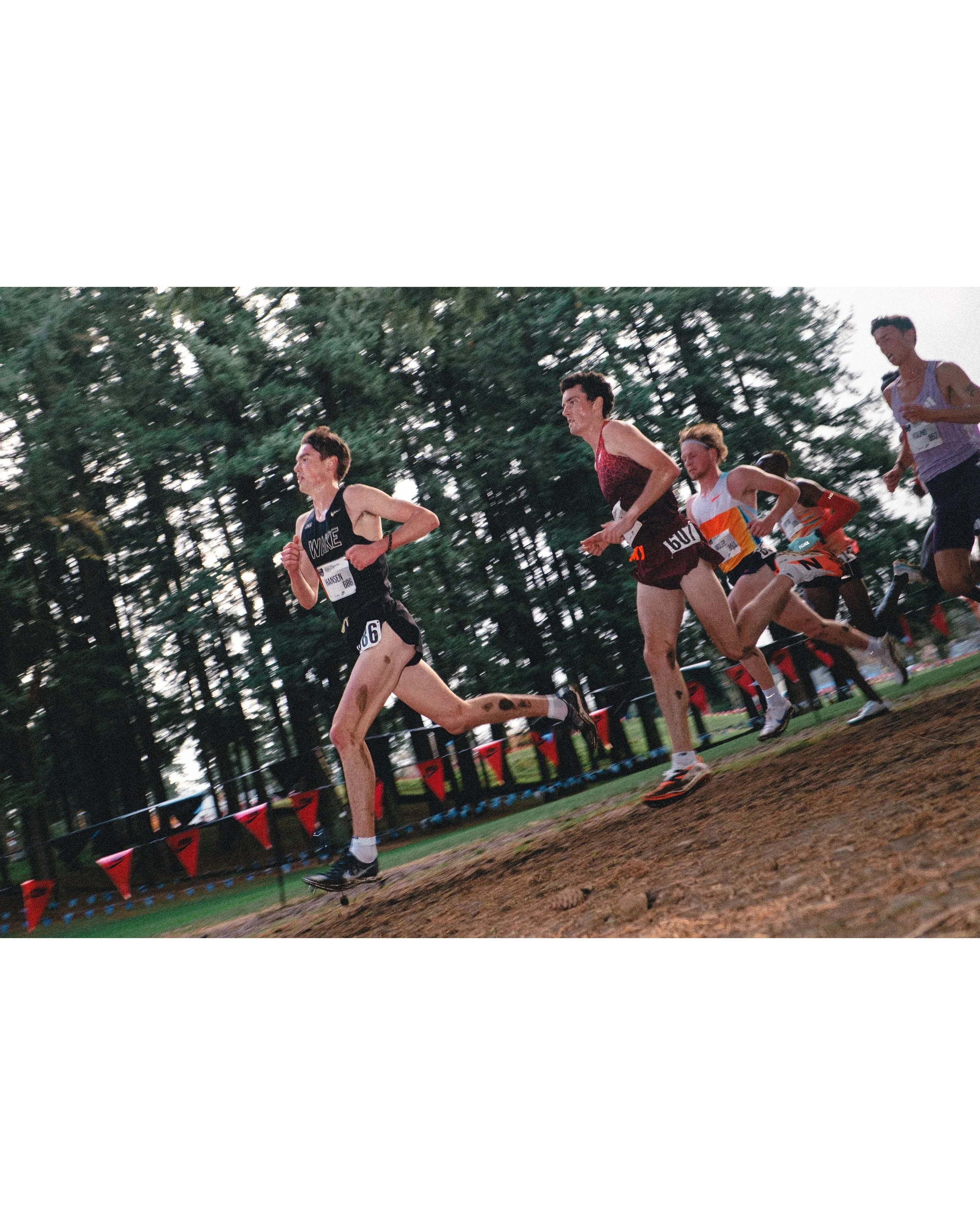 NXN-Rocky-leading.jpg