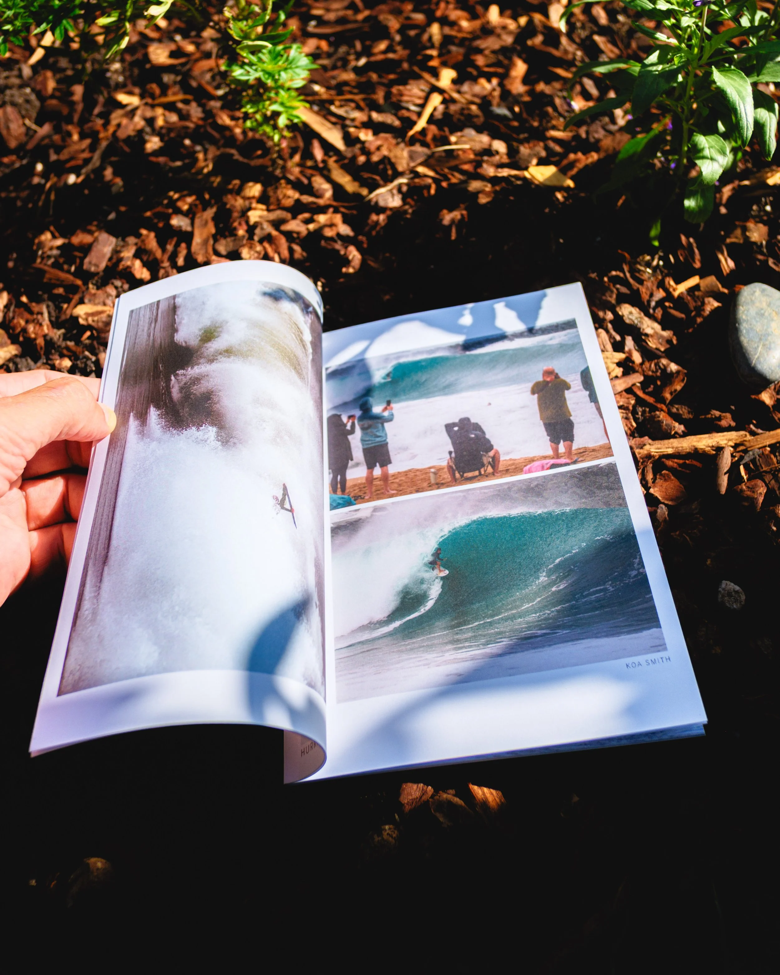An open Swell Report spread with sunlit beach scenes and a turquoise barrel.