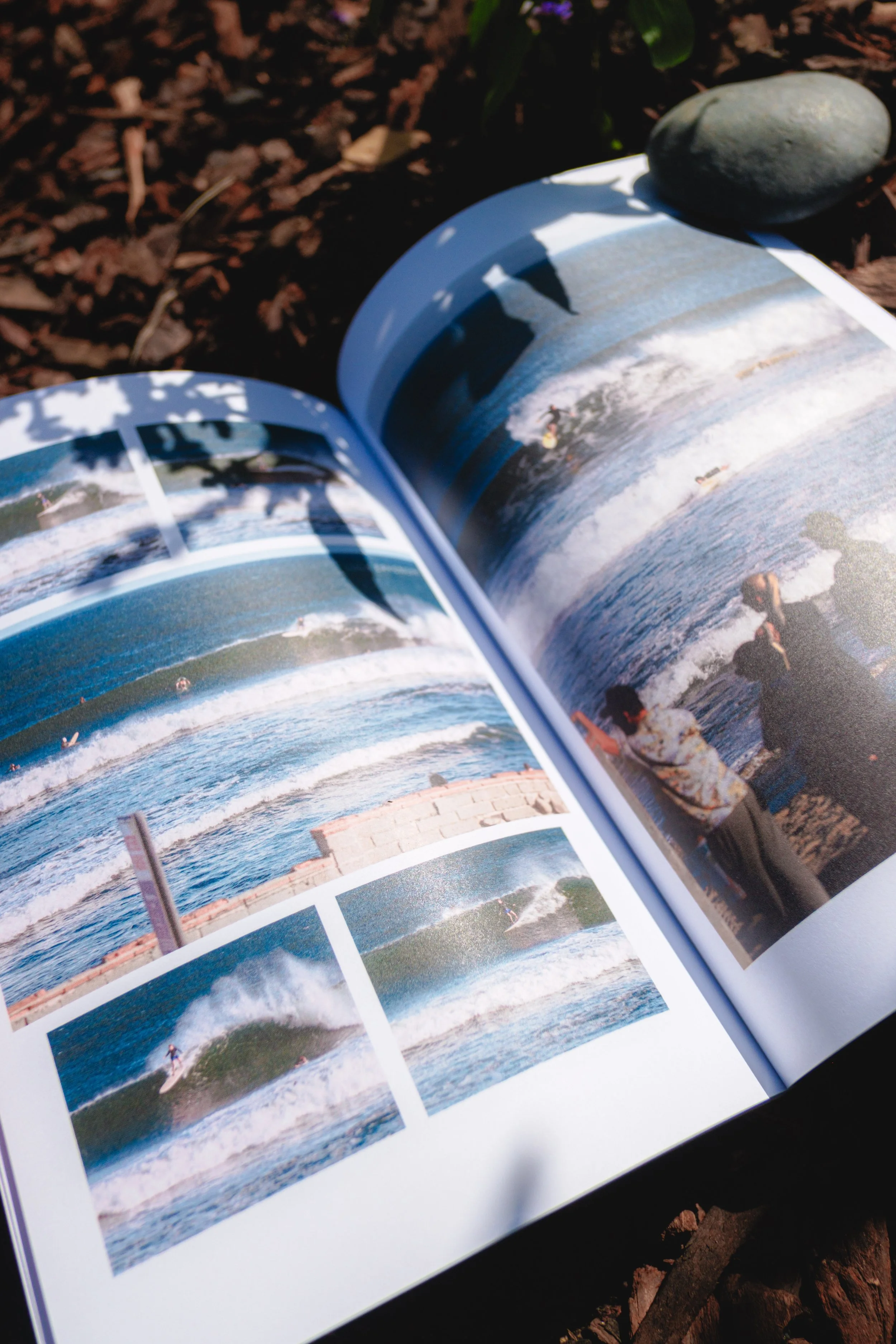 Sunlight falls across Swell Report pages filled with waves and beach life.