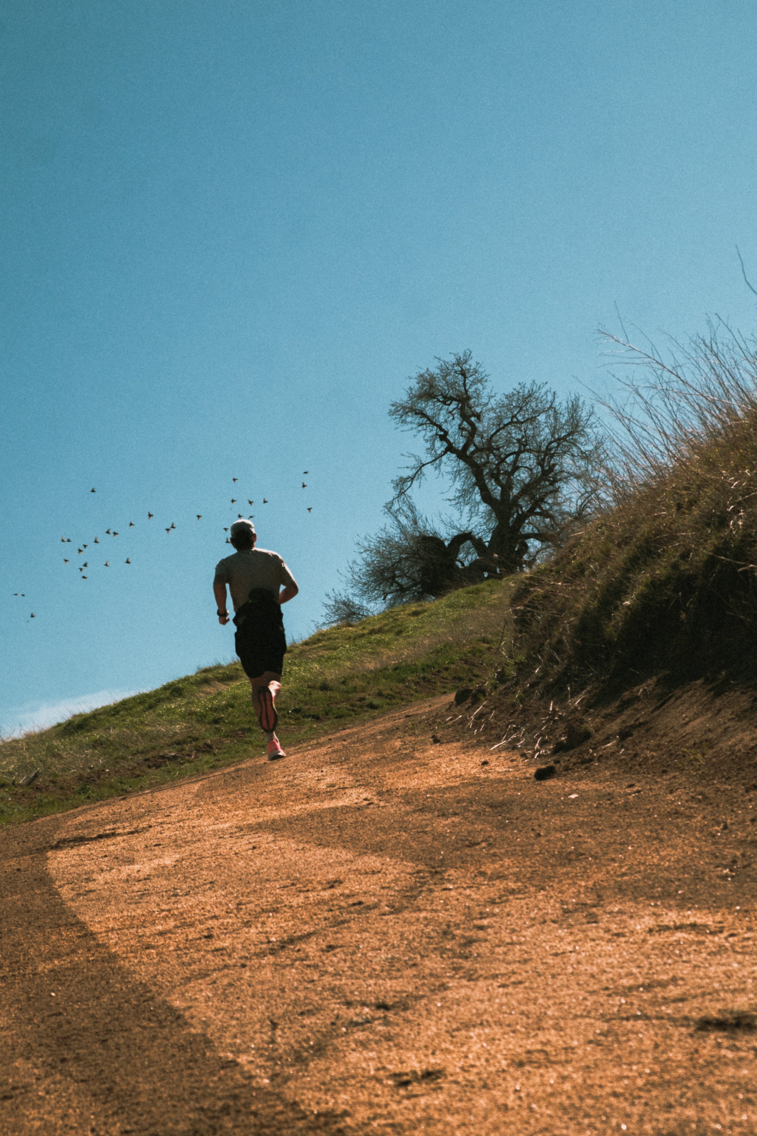 portfolio_trailrunning 2-7474.jpg