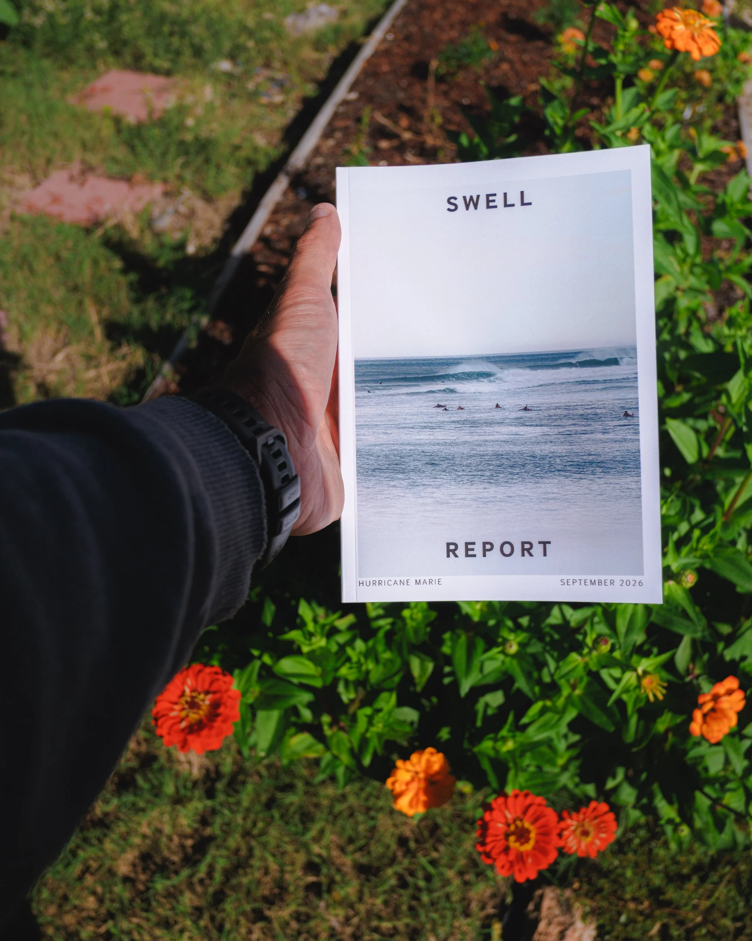 Swell Report held above bright orange flowers and green leaves.