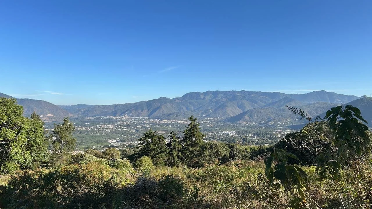 view.jpeg