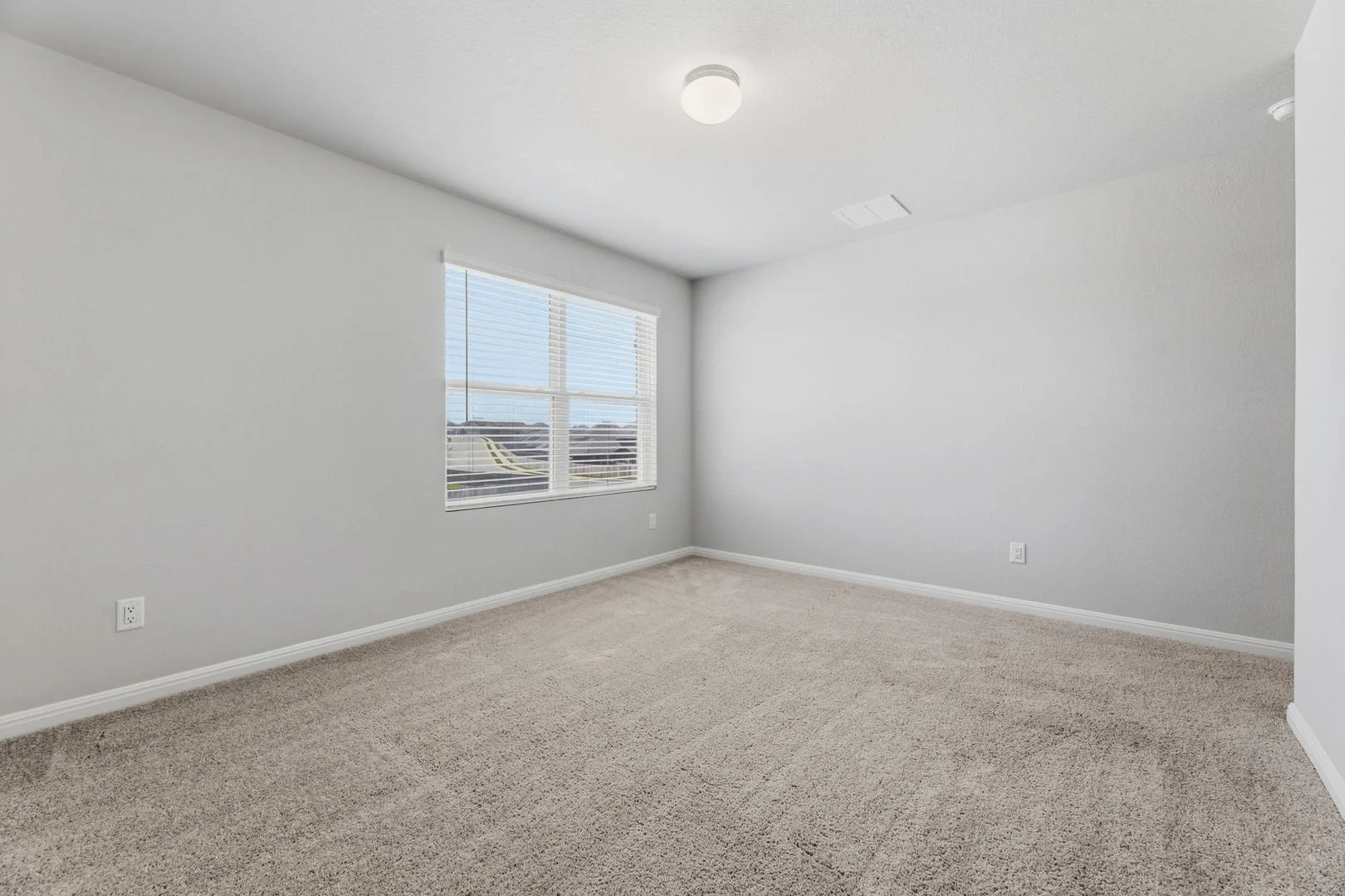large (46).jpg