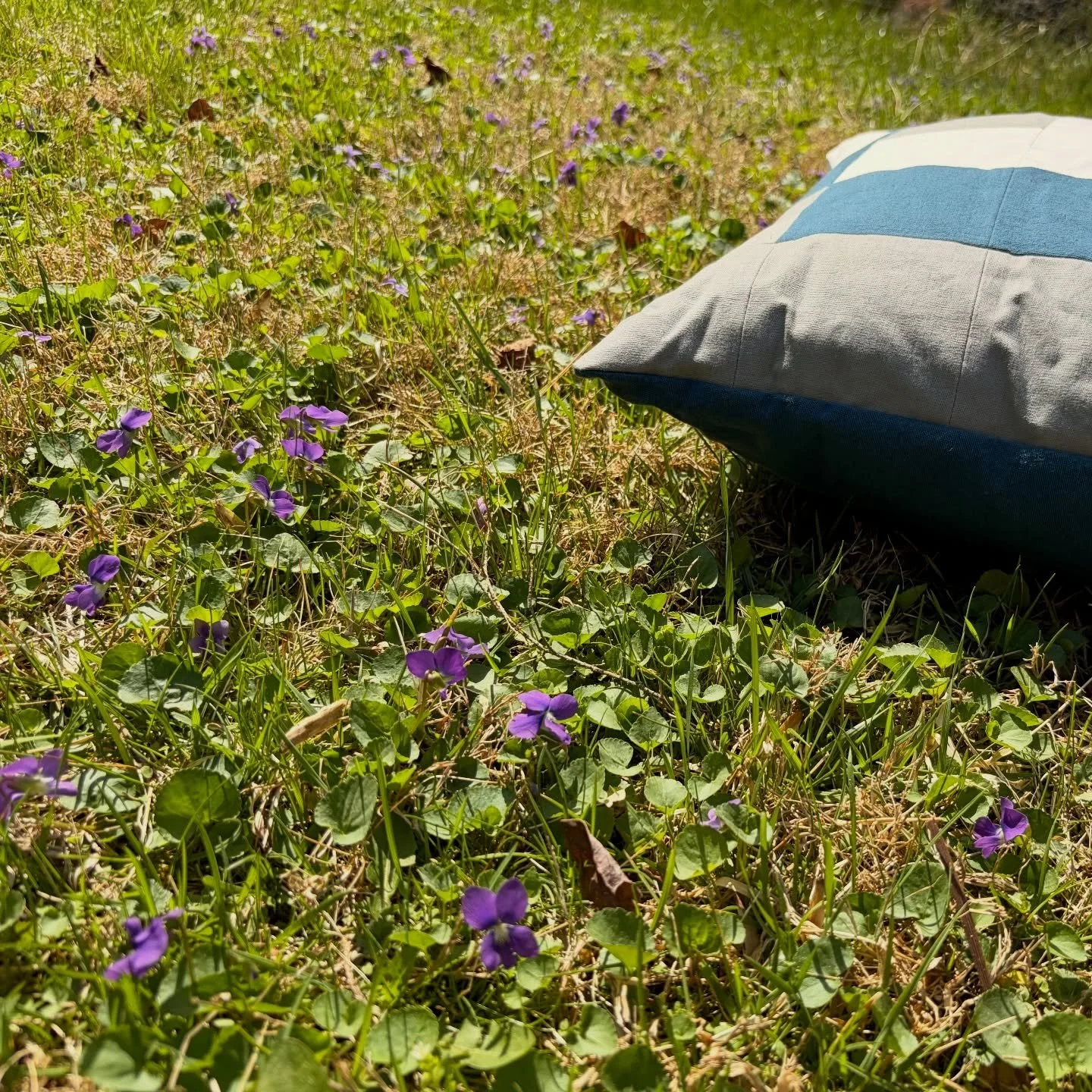That feeling when the violets are popping! Got a little distracted while taking listing photos on a sunny spring day&hellip; #violets #productpictures #sunshine #throwpillow #geometricdecor