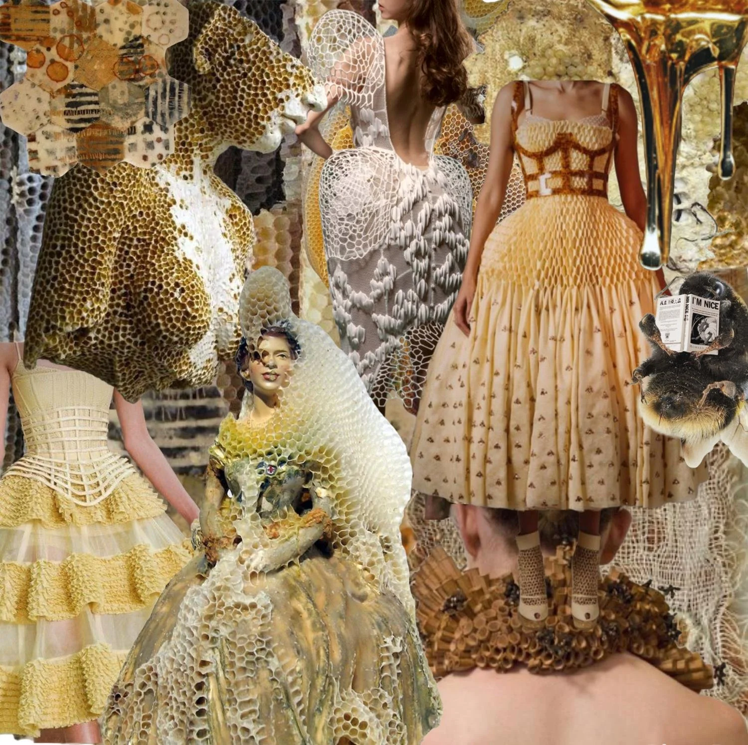 D6BE4333-50AA-4215-9AC5-714F09C58C76.jfif