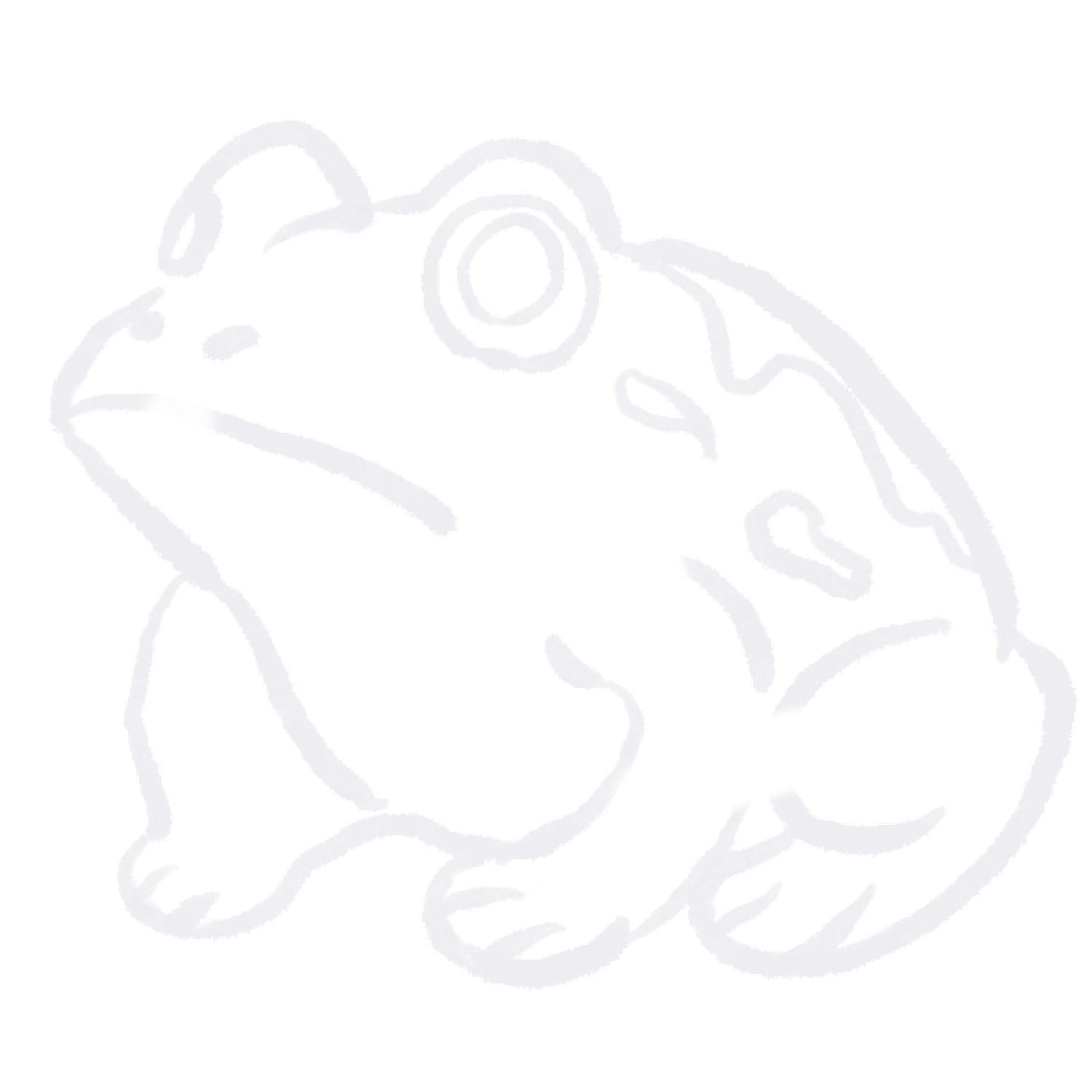 Ariel Fang | little t 小 t