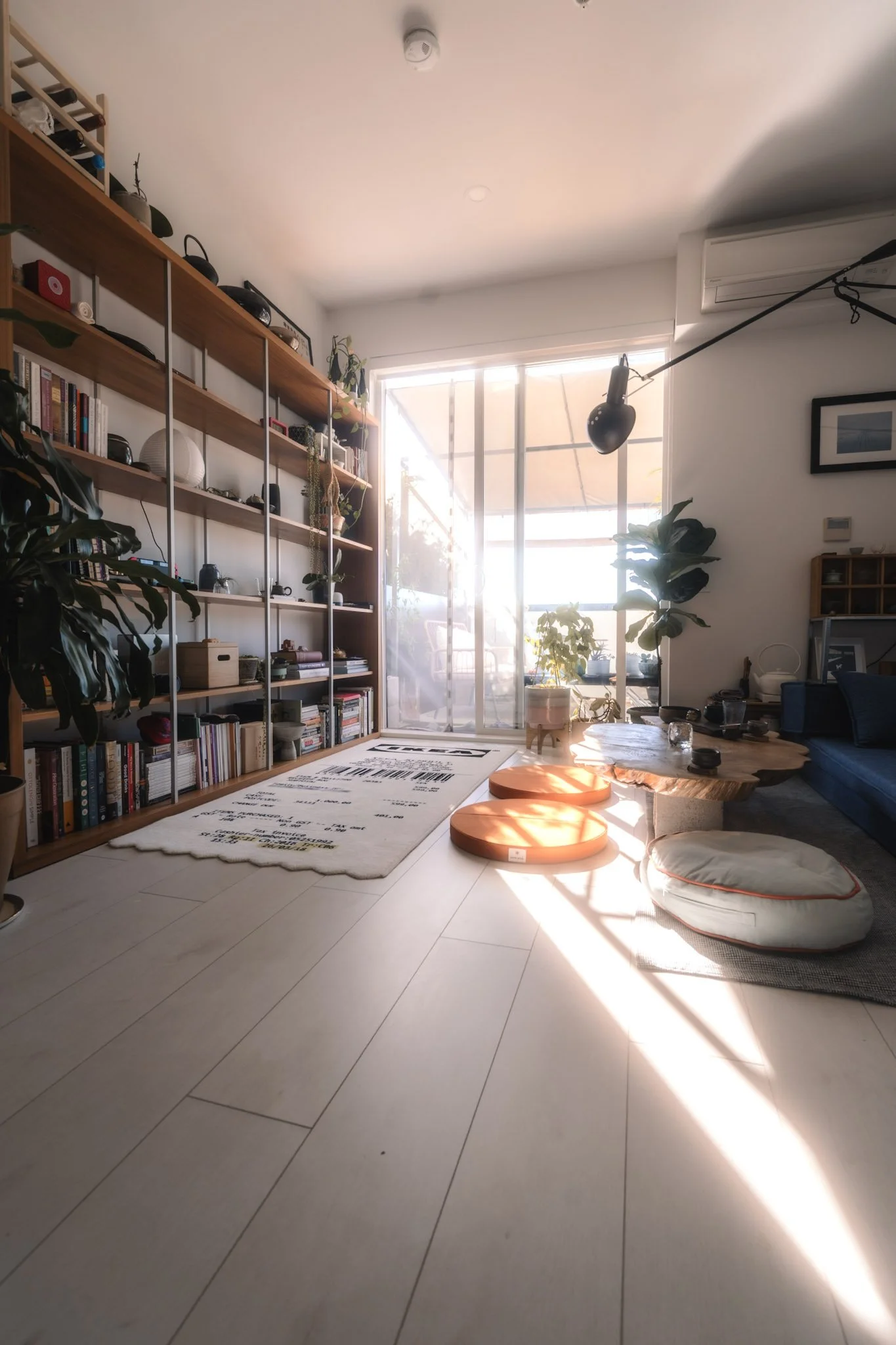 Bright living room with sunlight streaming through large glass door, multiple potted plants, bookshelves filled with items, and cushions on the floor.