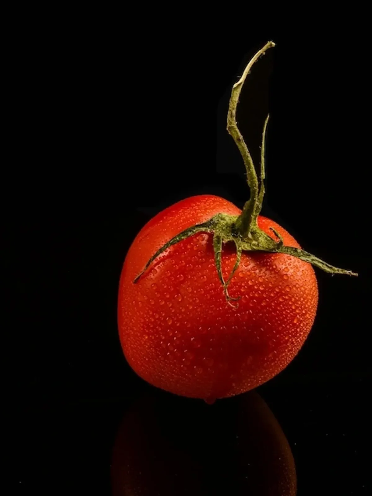 Taste of Tomato