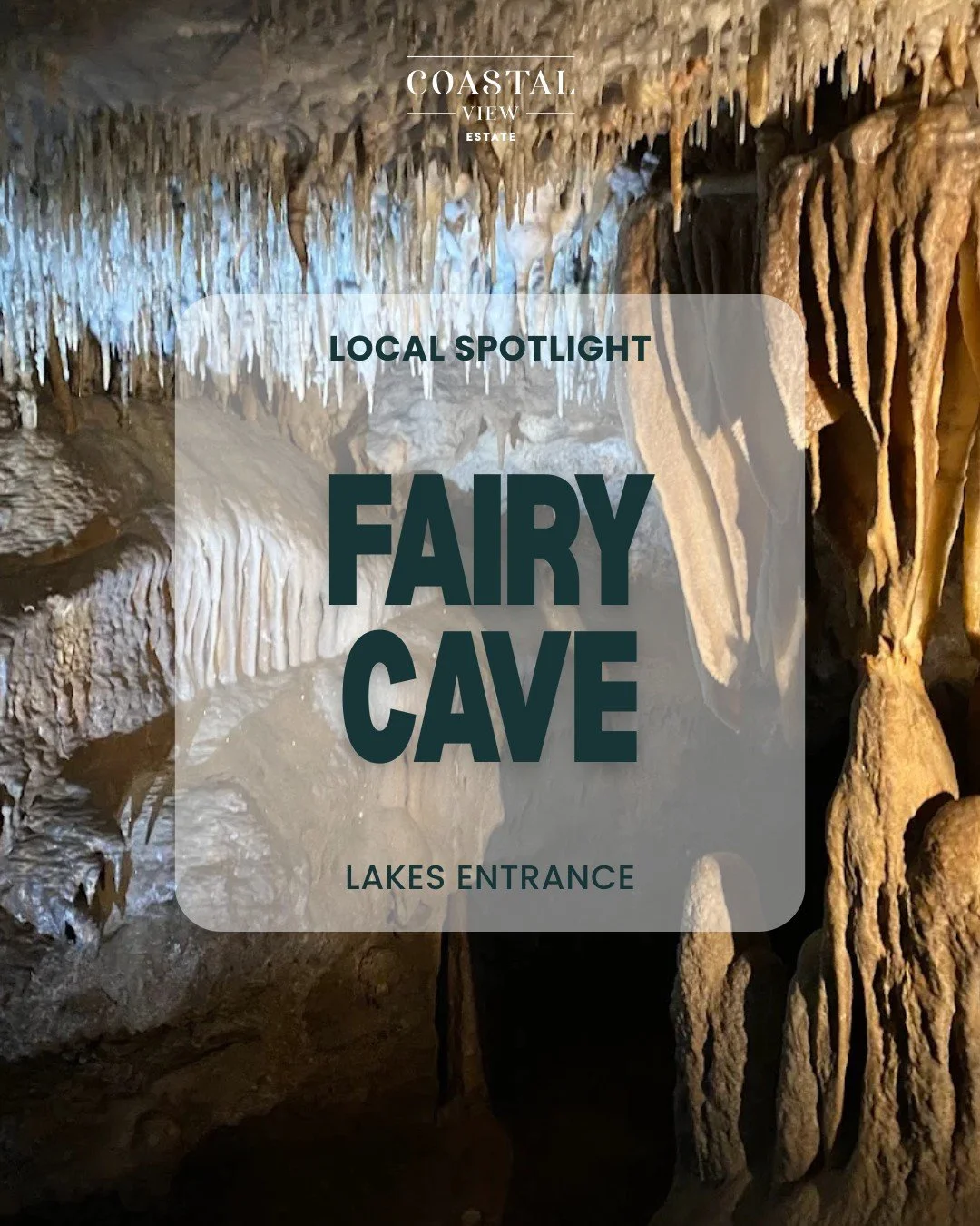 Local Spotlight: Fairy Cave, Buchan Caves ✨🦇

Less than a 45-min drive from Coastal View Estate, and such a magic day out.

Set in Buchan Caves Reserve on Krauatungalung Country, a place of deep significance to Gunaikurnai Traditional Owners, with V