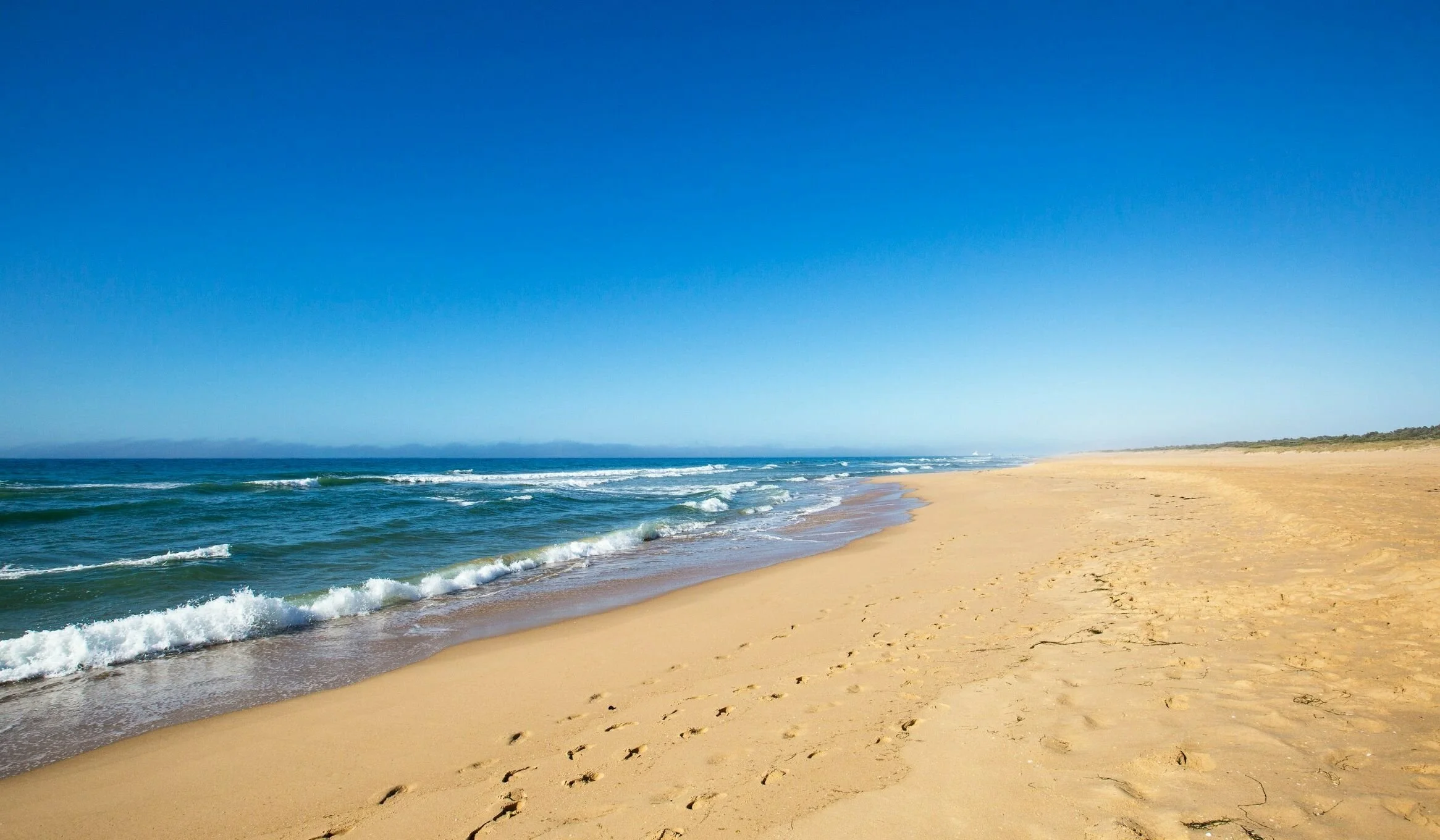 sand-and-surf-at-Main-Beach-Lakes-Entrance_d0fac39c089a8a5df7376751f4812439 (1).jpg